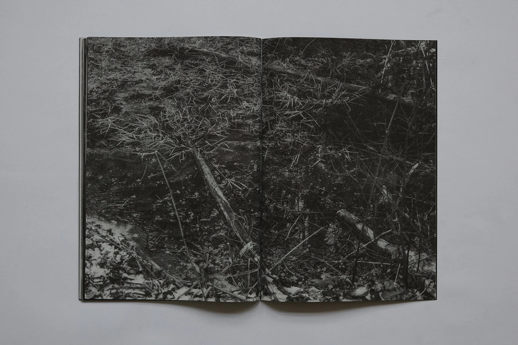 fanzine_page20.jpg