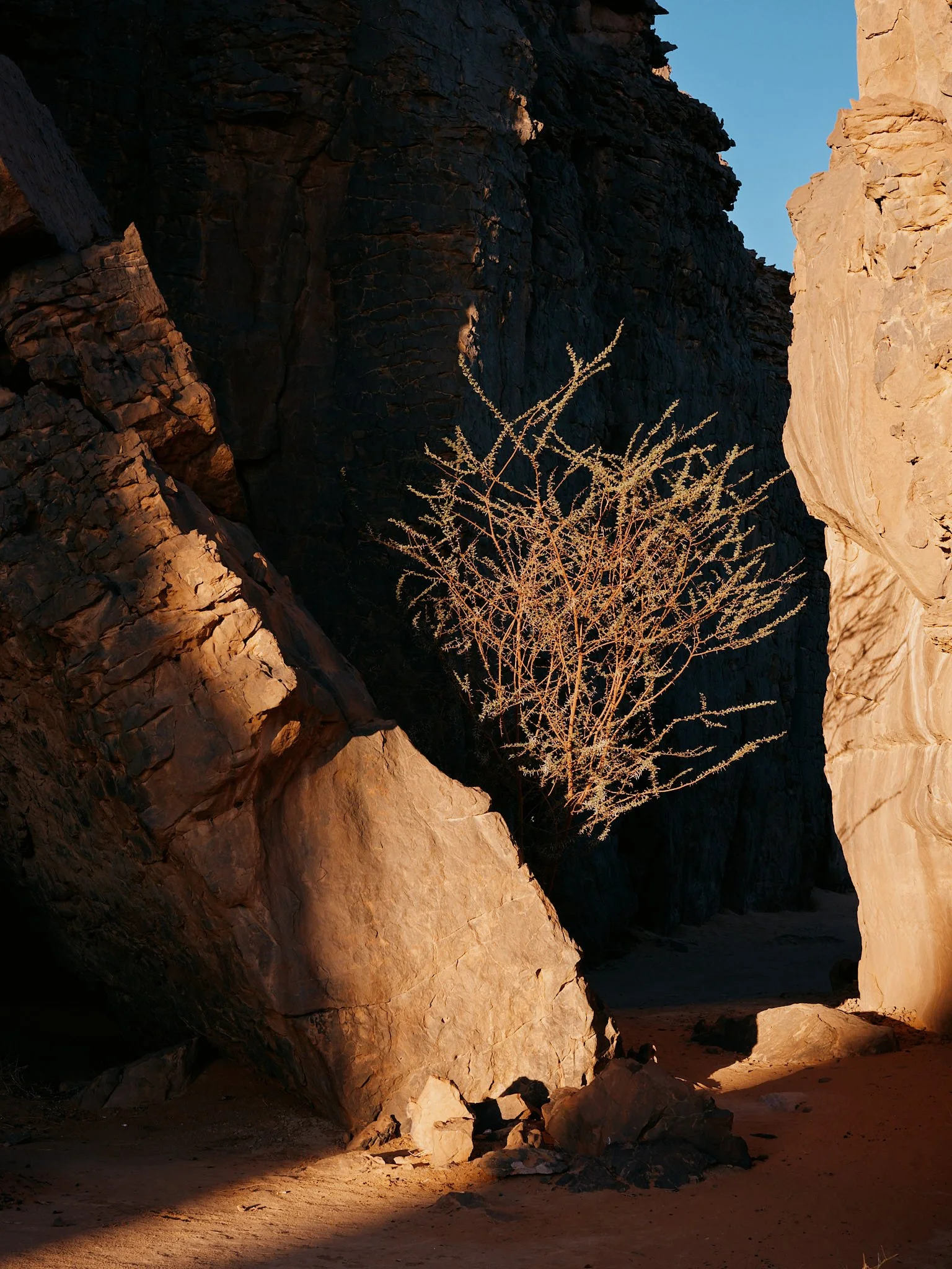 DSCF6593.jpg
