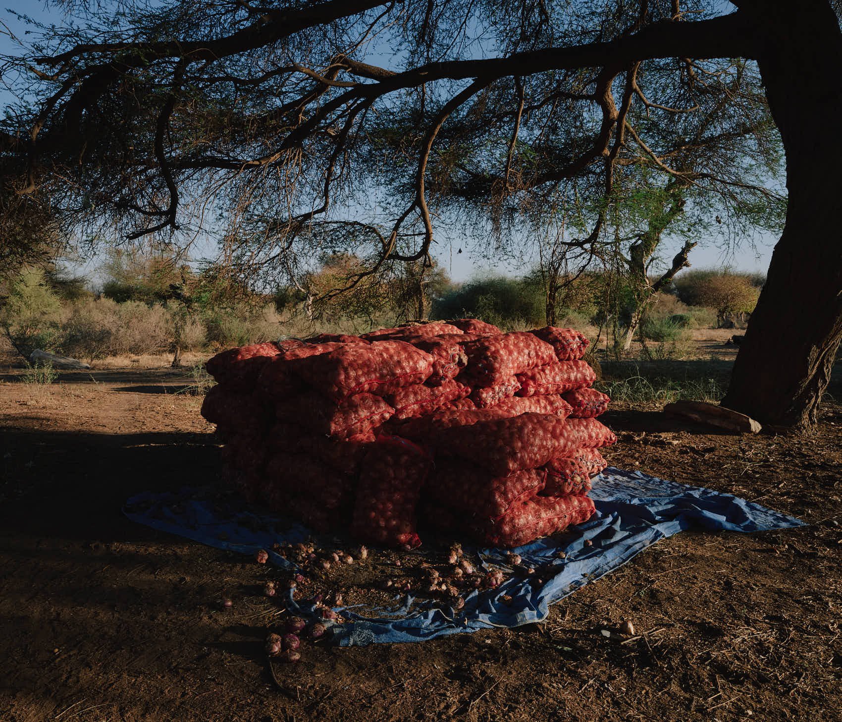_DSF0128 1.jpg