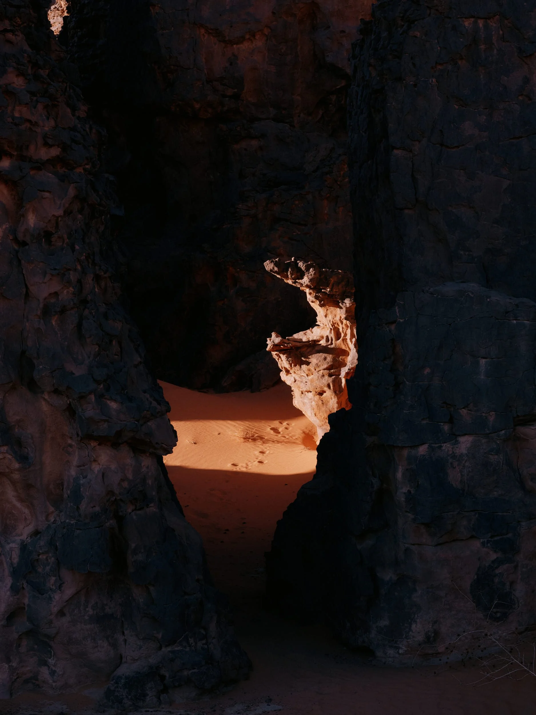 DSCF6629.jpg