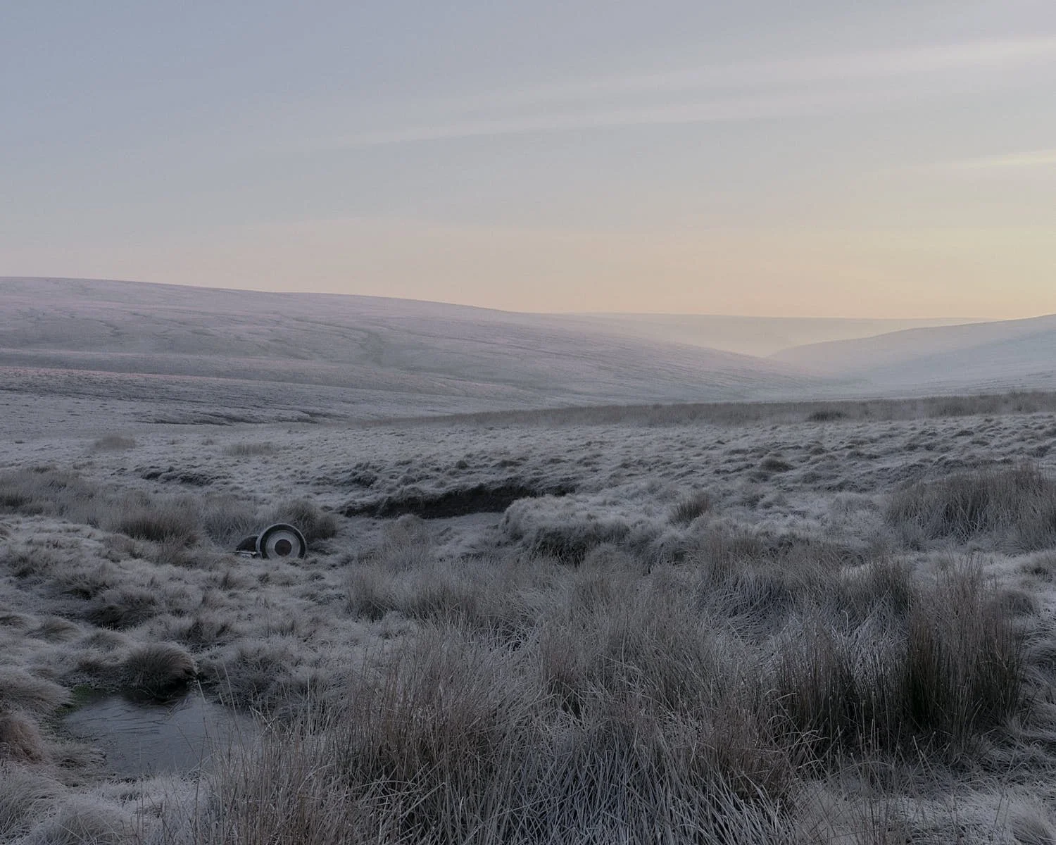 Fallen | Series of 8