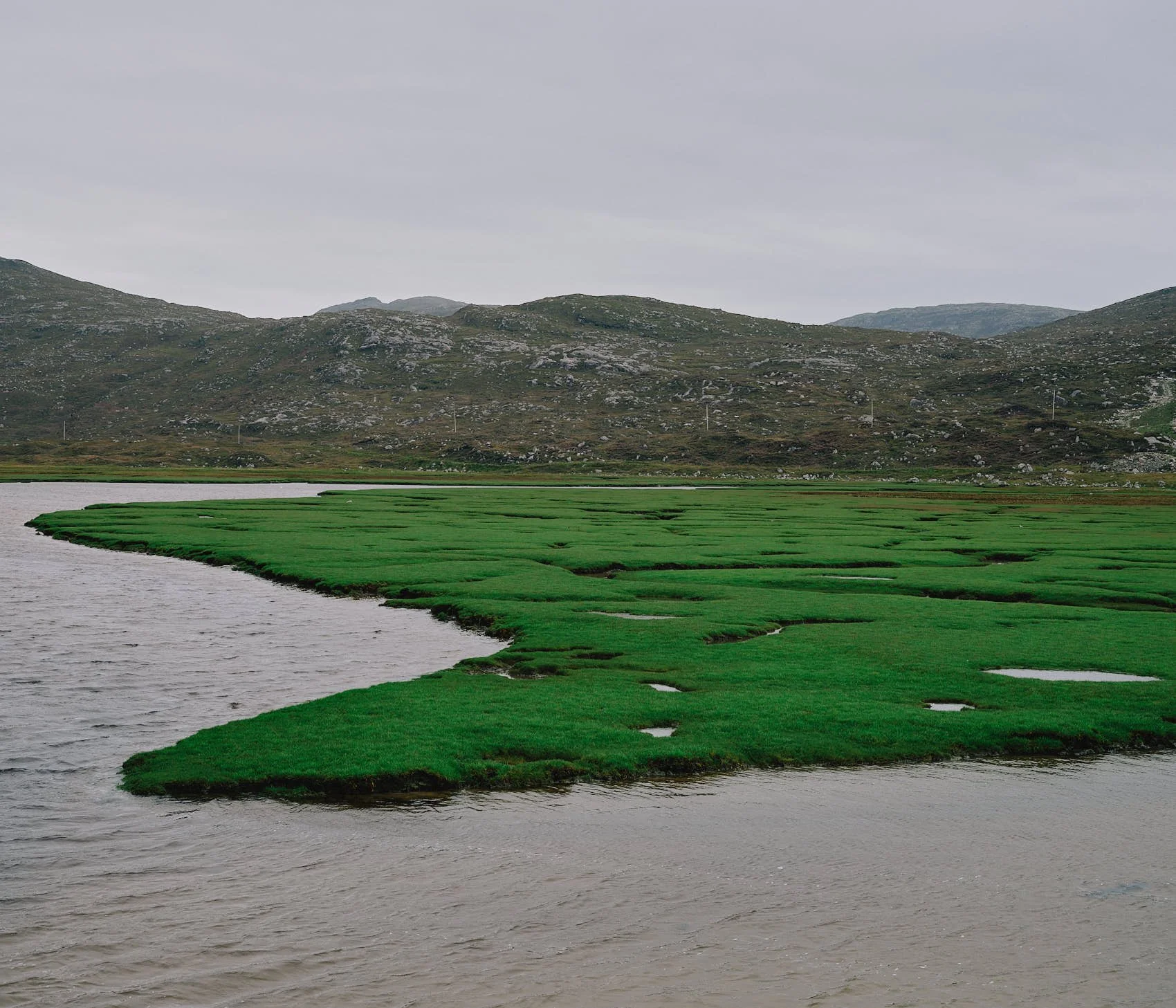 _DSF0149.jpg