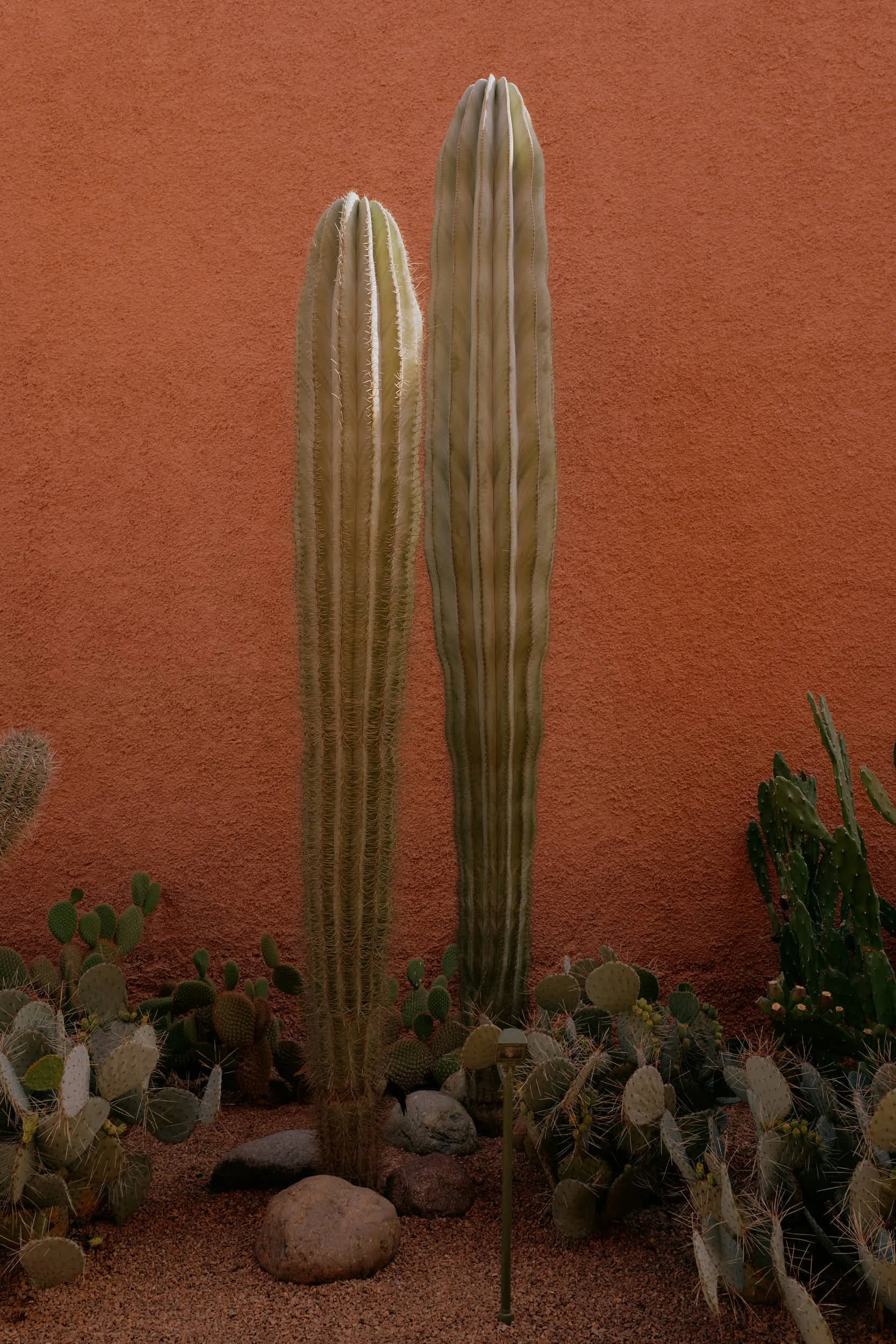 L1100193.jpg