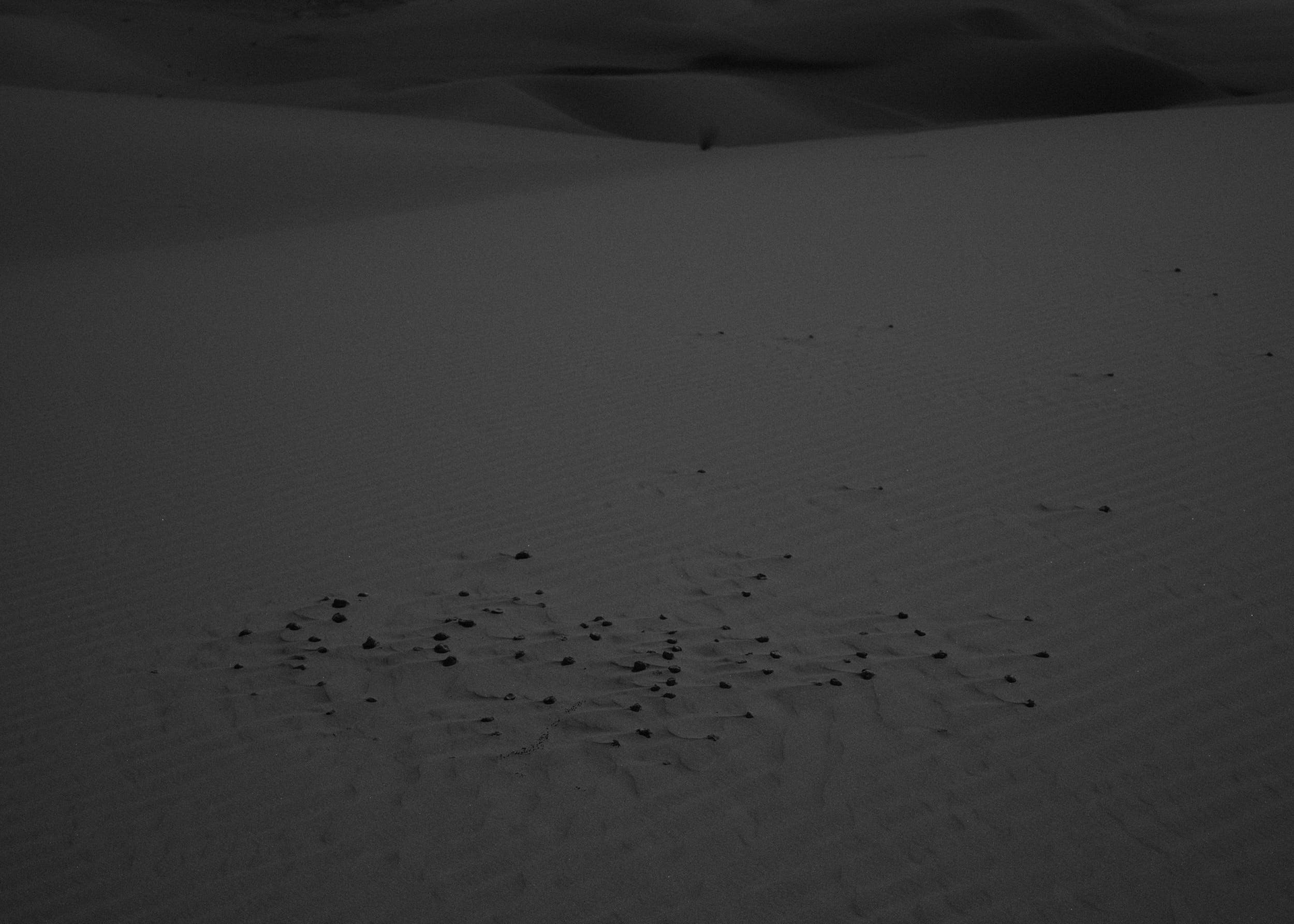 #008, 2024
50x70cm
Gelatin Silver print