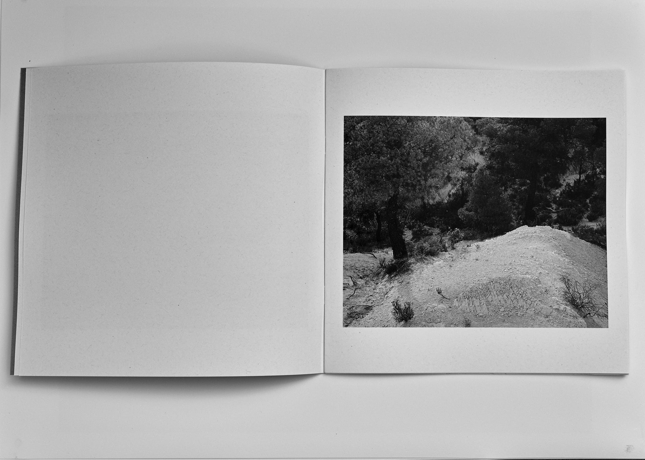 7photography-portfolio-nick-holt.jpg