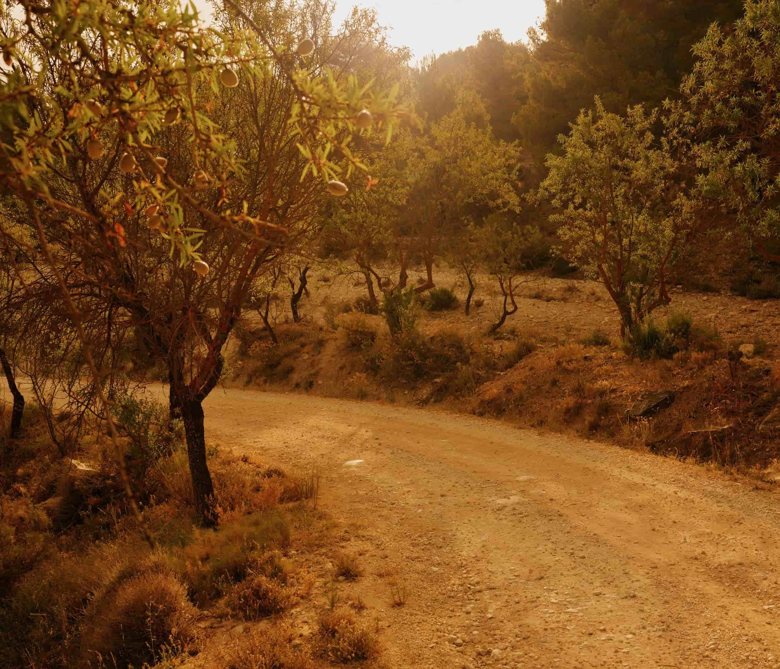 Almeria