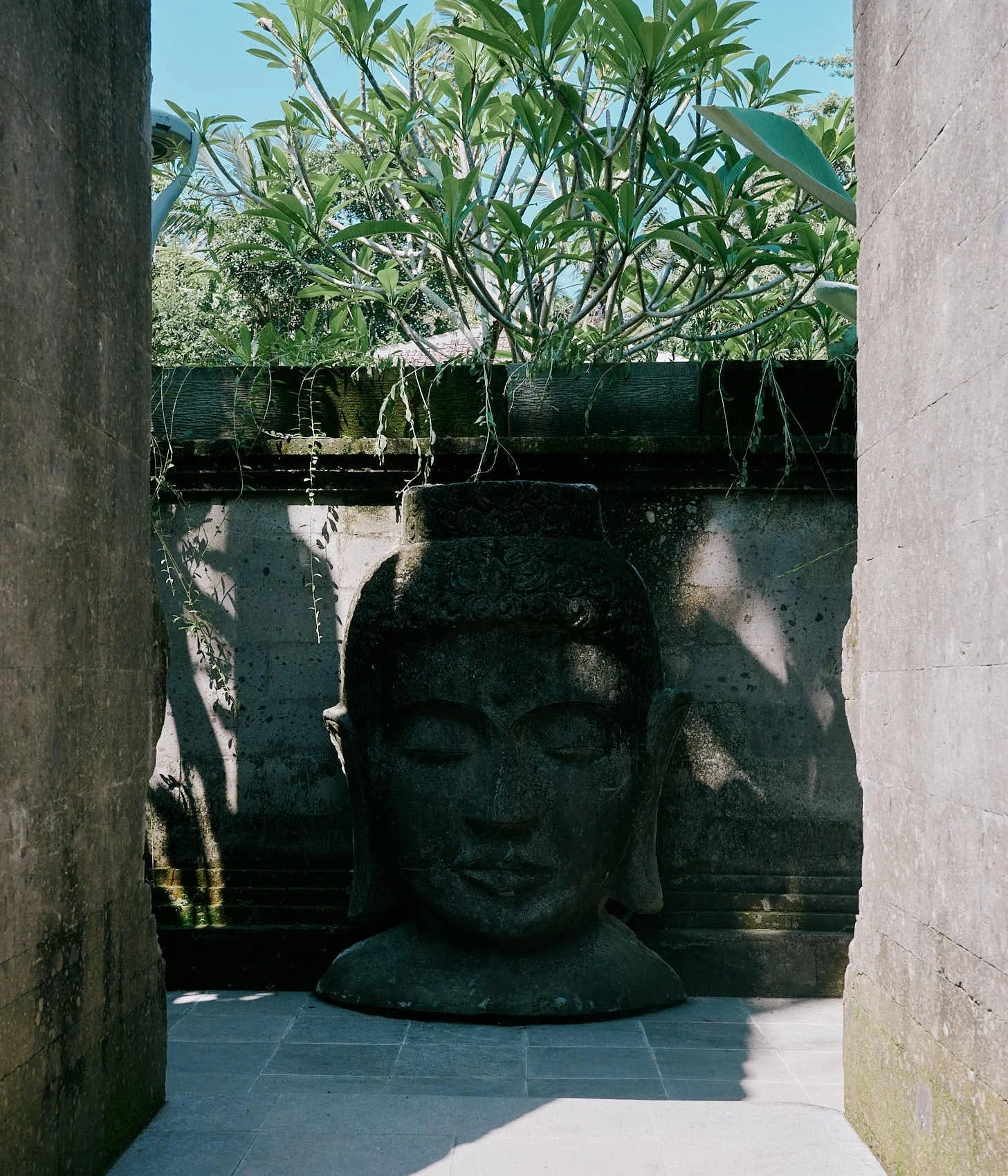 DSC_2297.jpg.webp