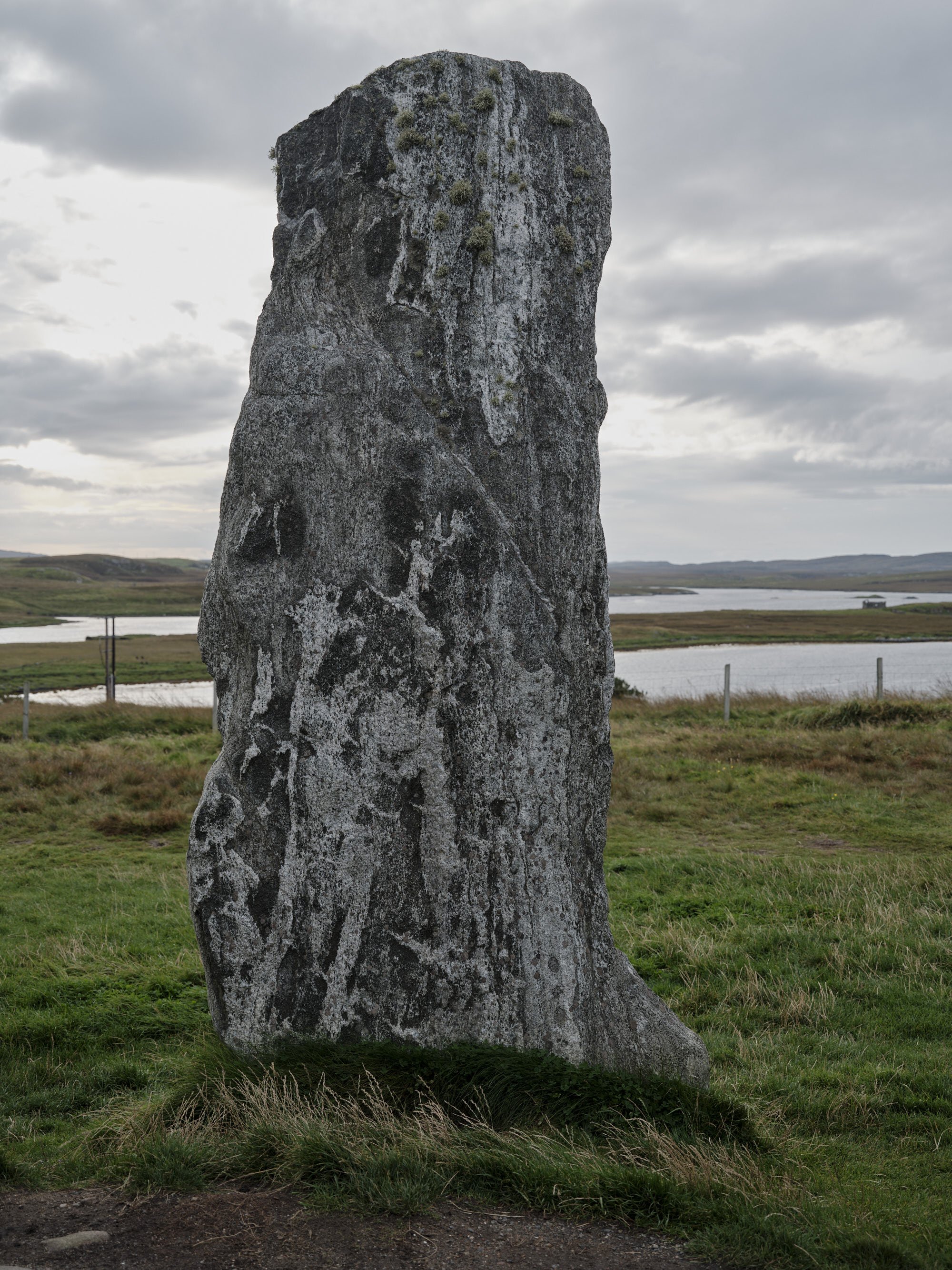 p_DSF0158.jpg