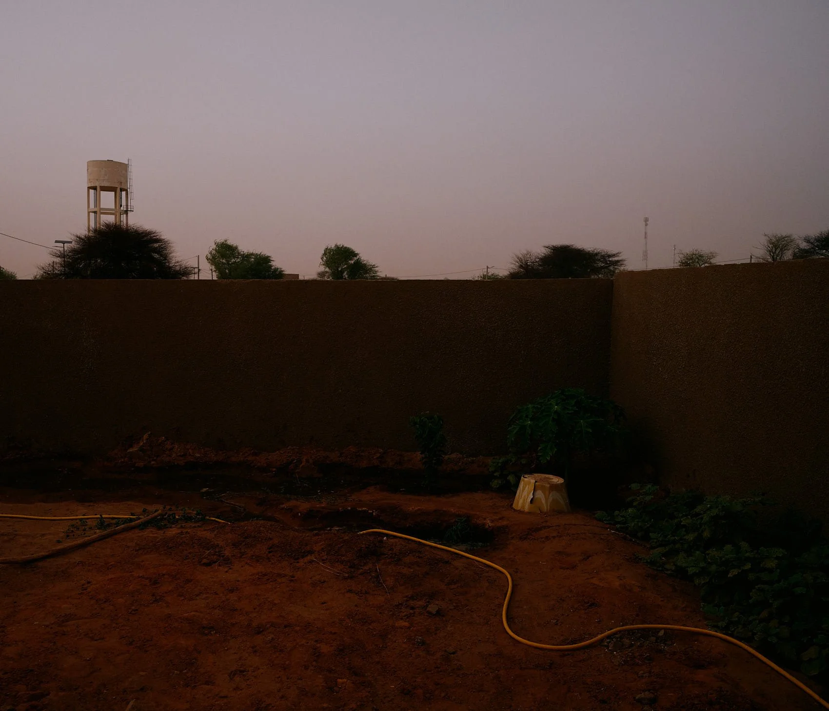 _DSF0446.jpg