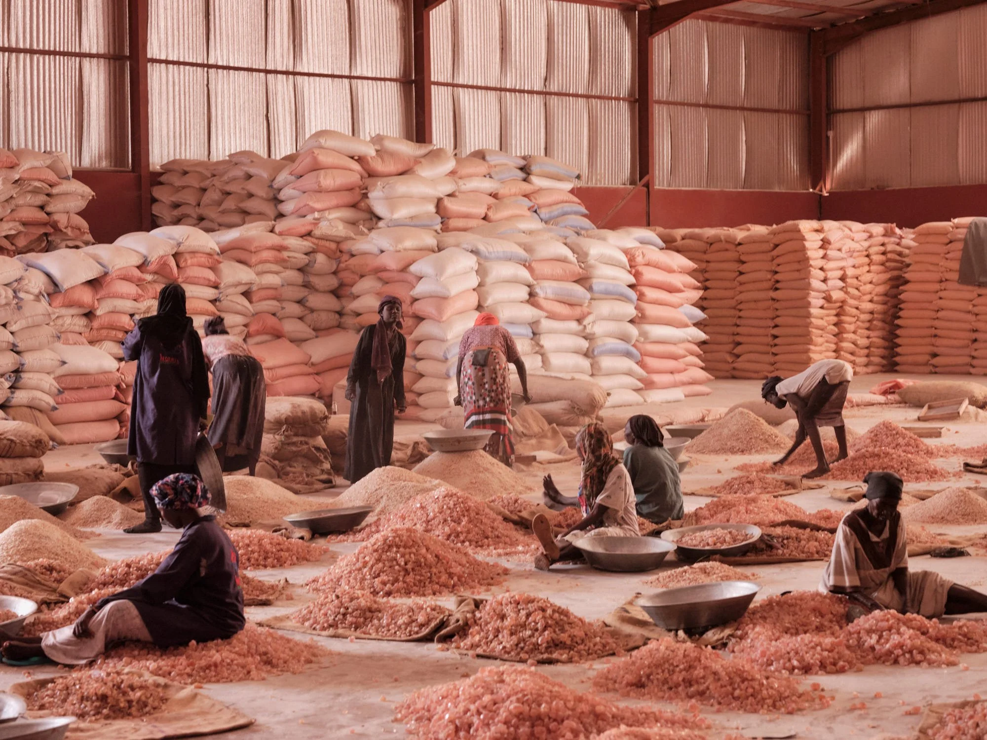 People working with piles of pink and orange sacks a large industrial Gum Acacia  processing factory in the Sudan Africa
