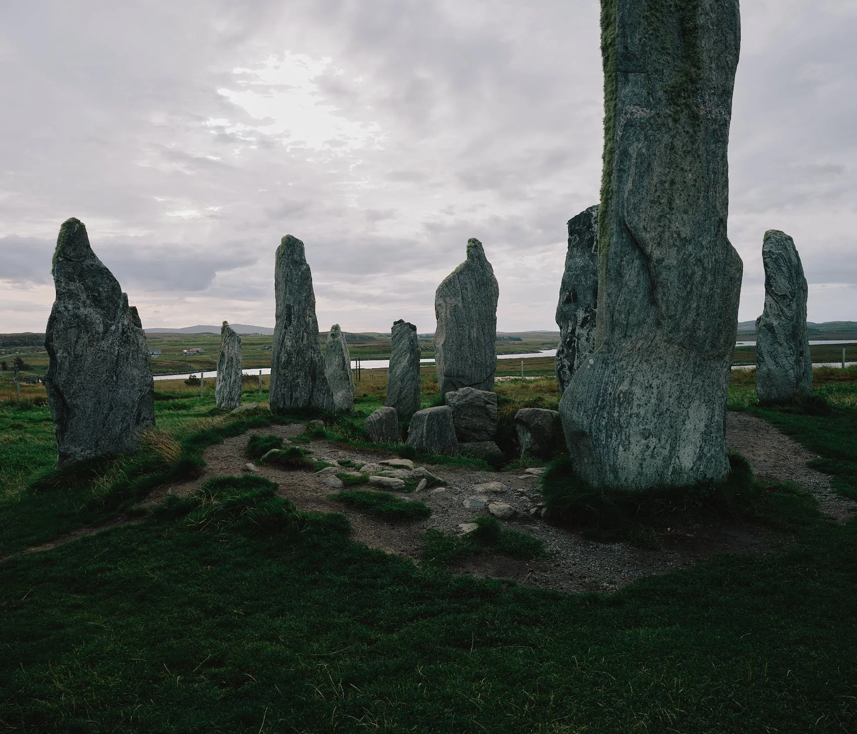 _DSF0156.jpg