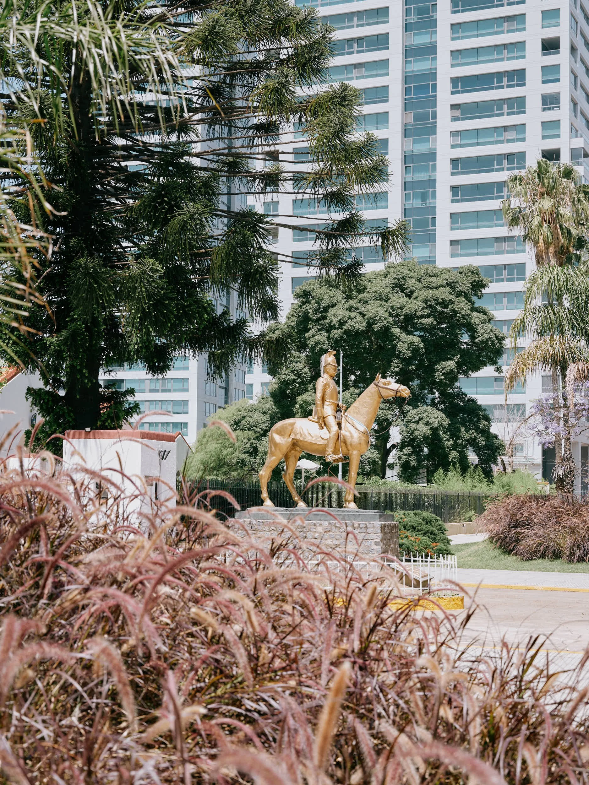 _DSF0098.jpg