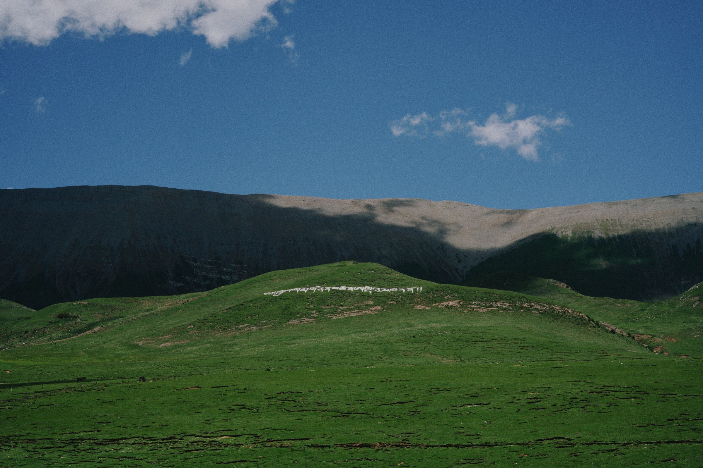 DSC_7159 2.jpg