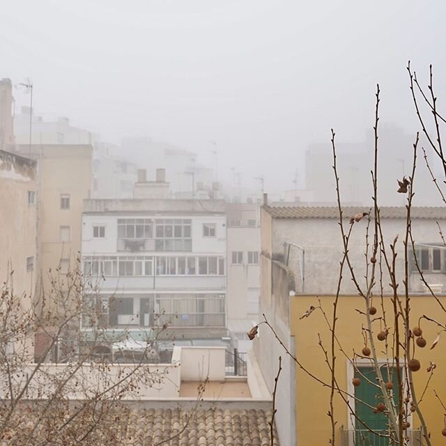 ⁣
misty morning.⁣
⁣
#palmademallorca #winterinmallorca #peregarau #studiojaia⁣