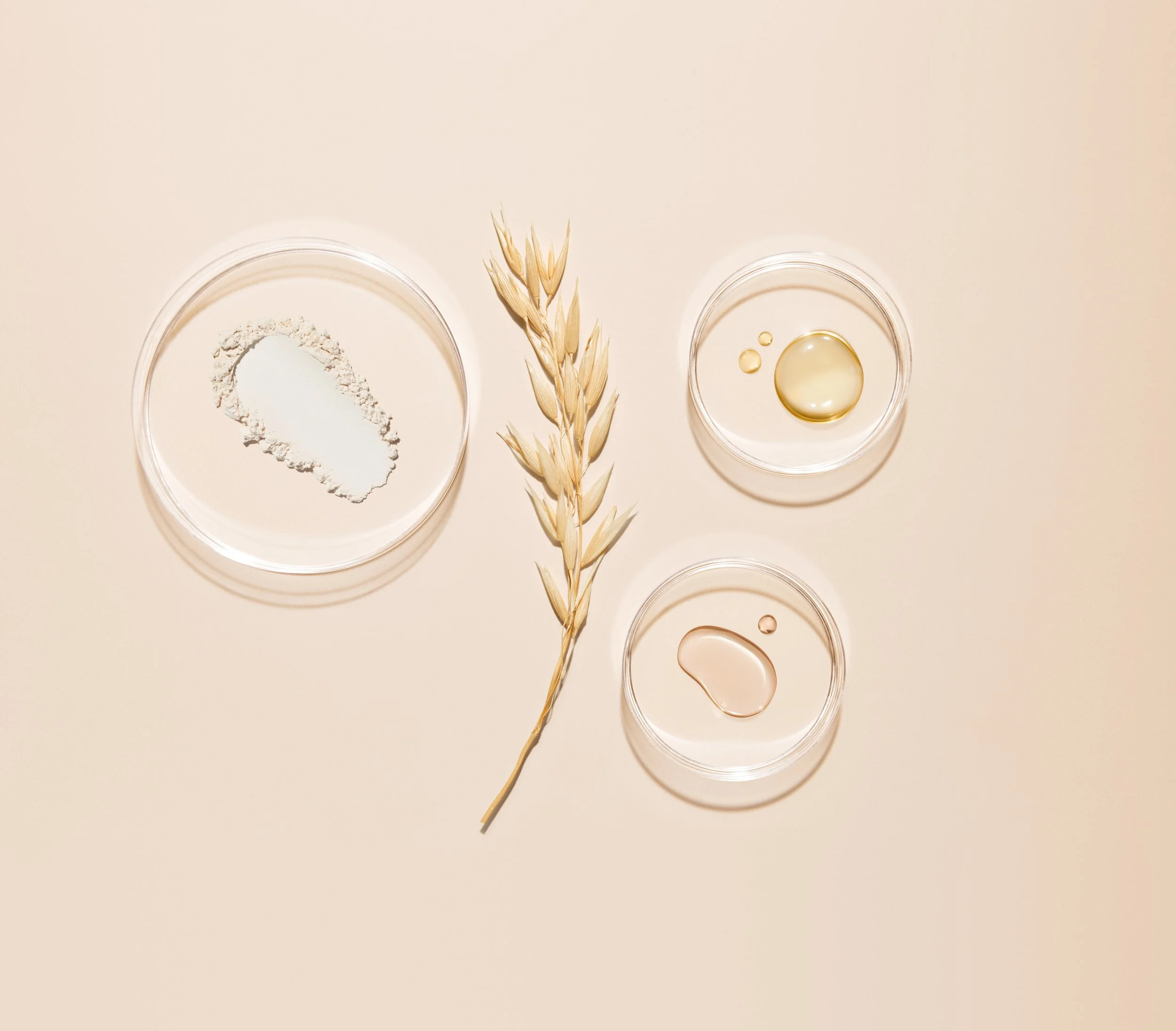P00010773_Aveeno_Shot04_Ingredient_OatStalk_Petri_Global_Still_1063_Bzr7.jpeg