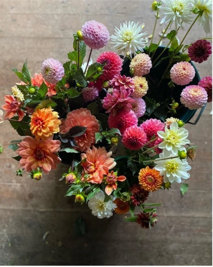 July flower arranging tiverton