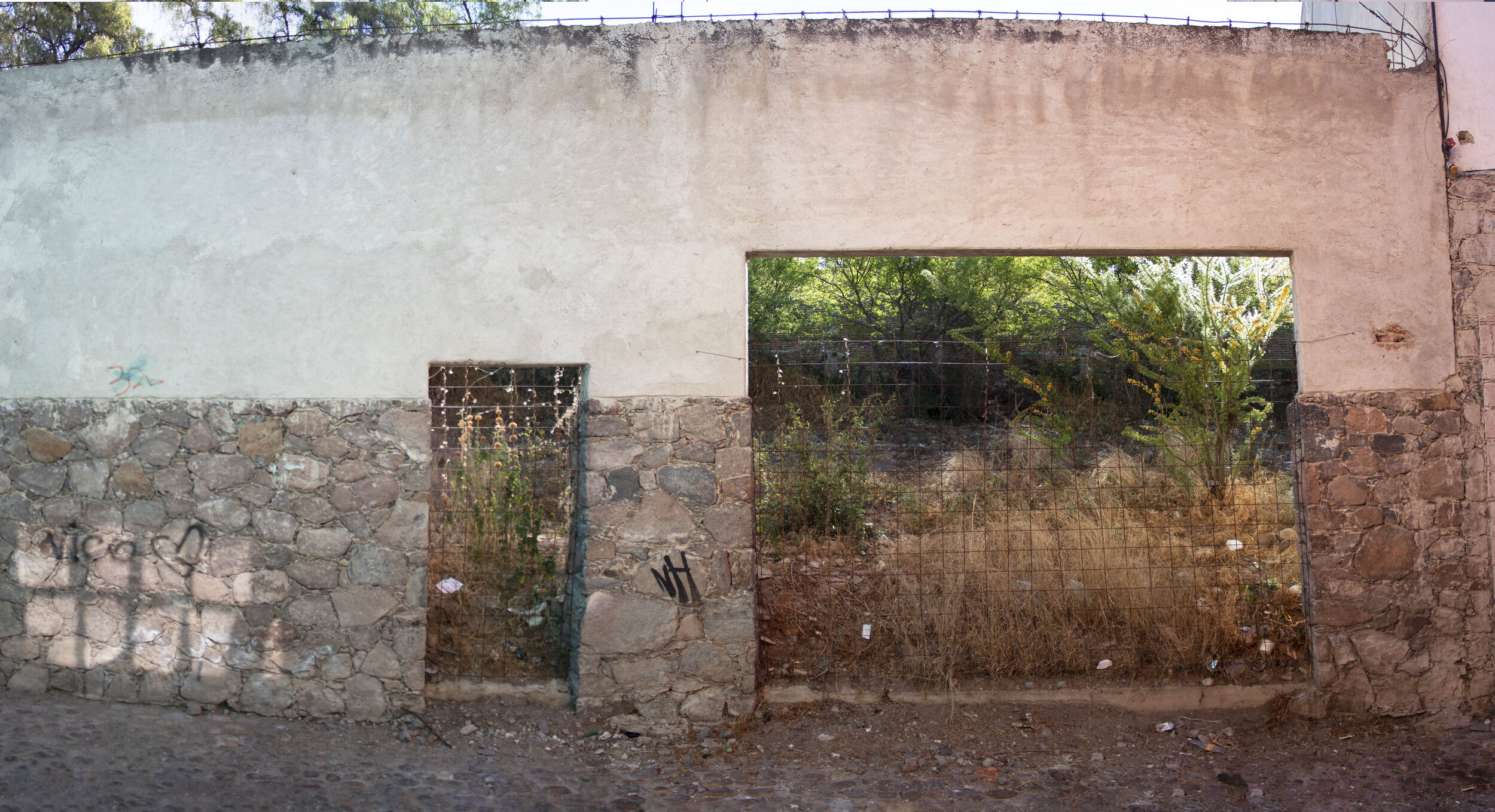 Nico, San Miguel de Allende, 2018