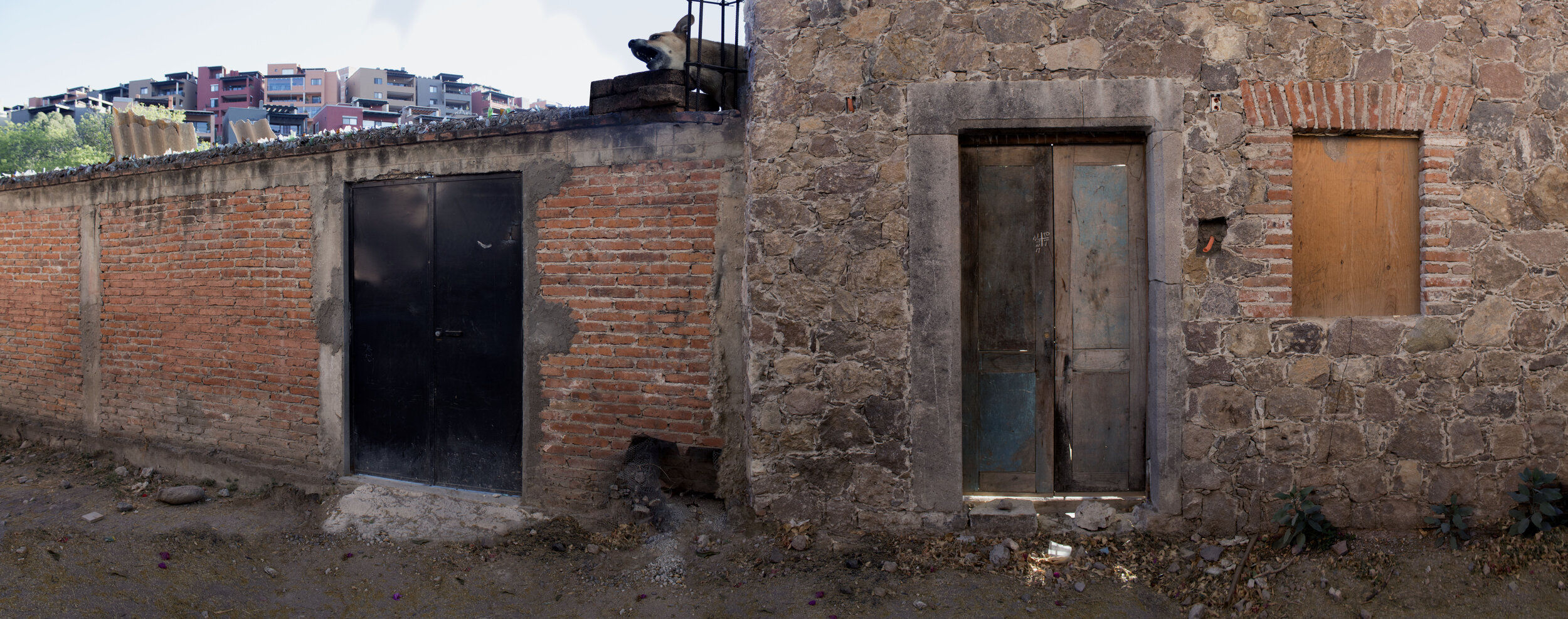 Development, San Miguel de Allende, 2019