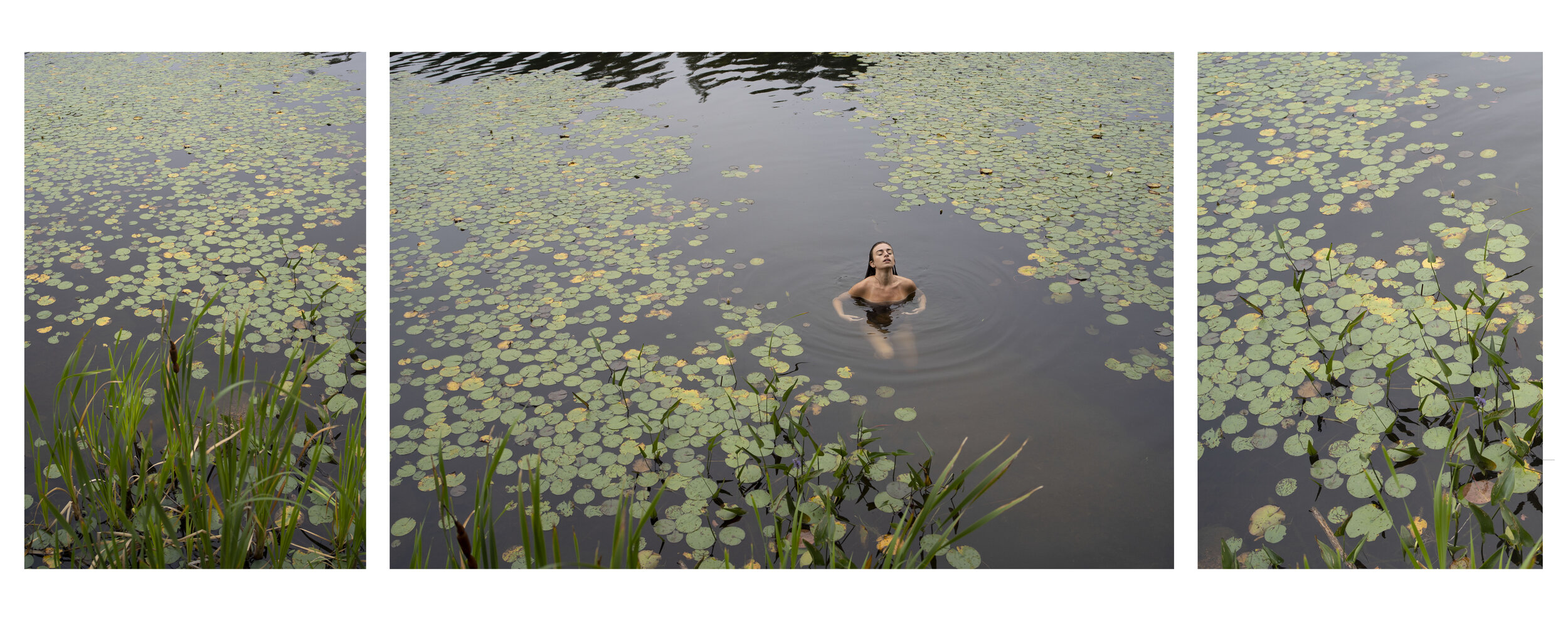 Alice in the Lily Pond, Deer Isle, 2021