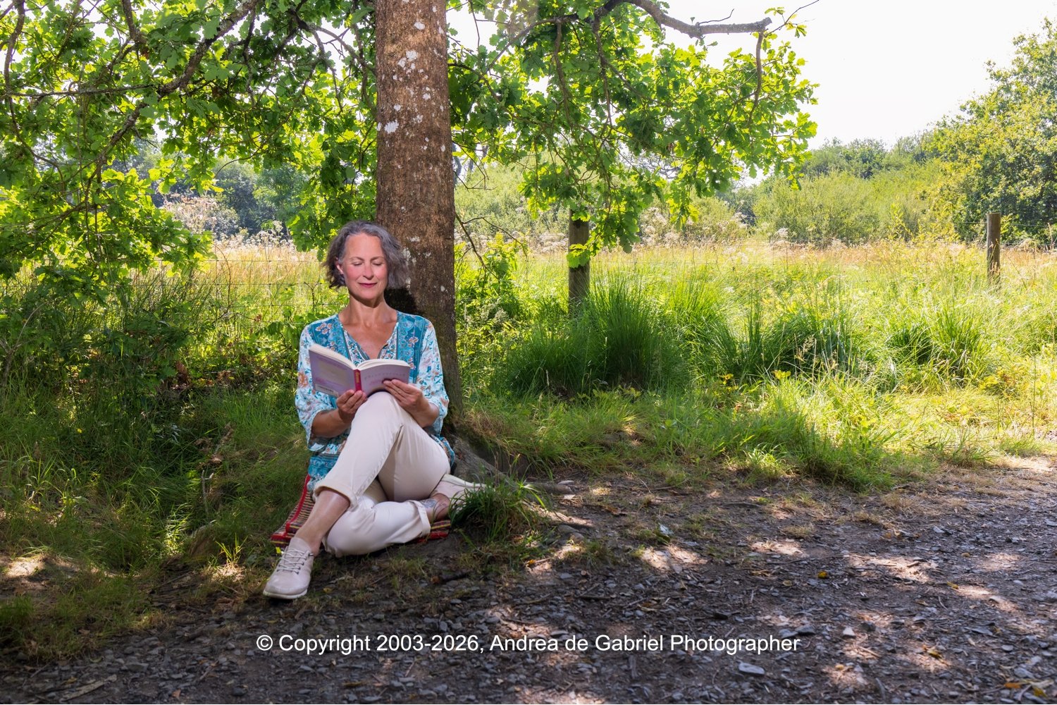 A woman with gray hair sitting under a tree reading a book in a grassy field on a sunny day.