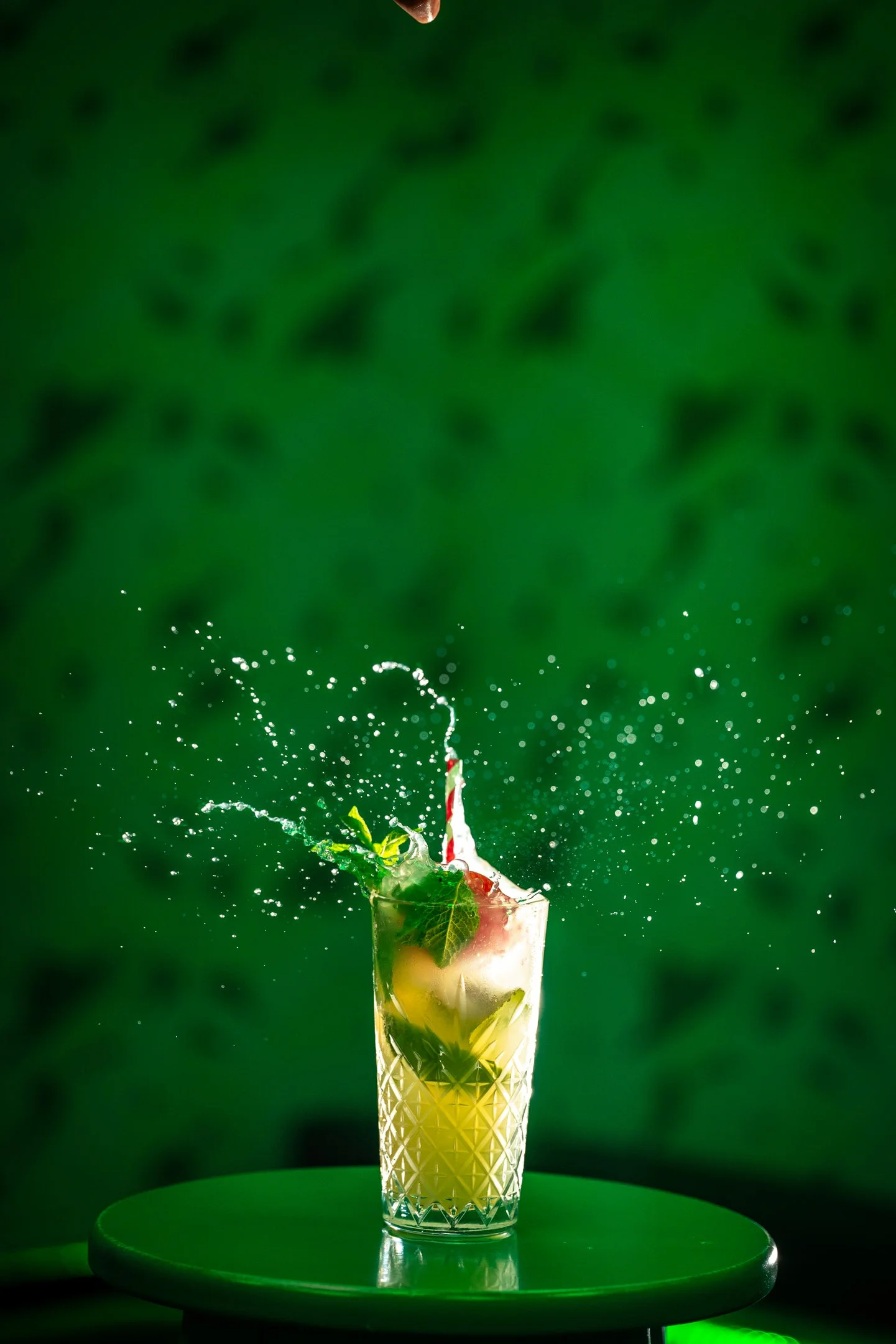 Birdies Angel - Q123 - 317.jpg