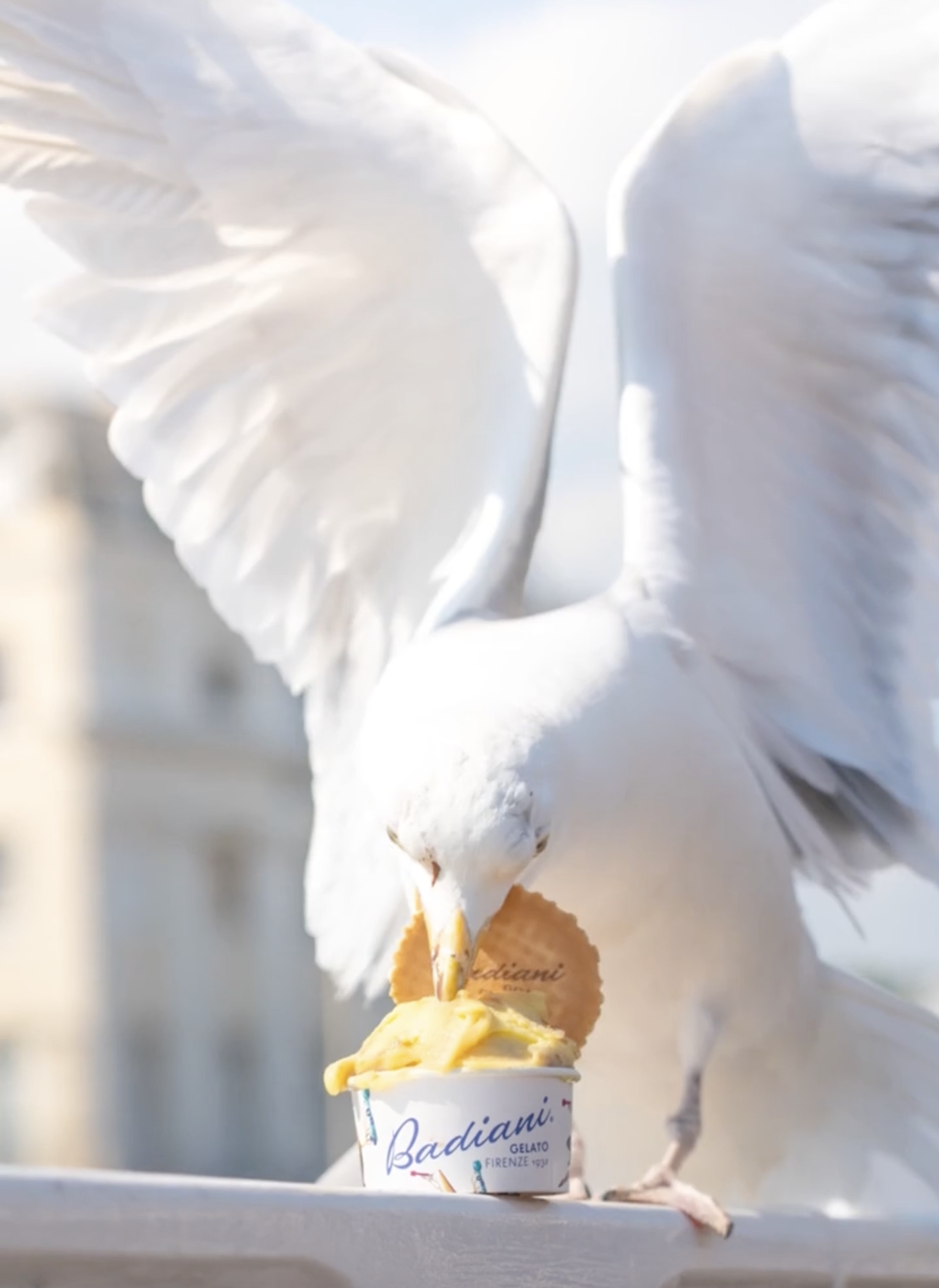 Screenshot 2026-01-03 at 11.02.33.png