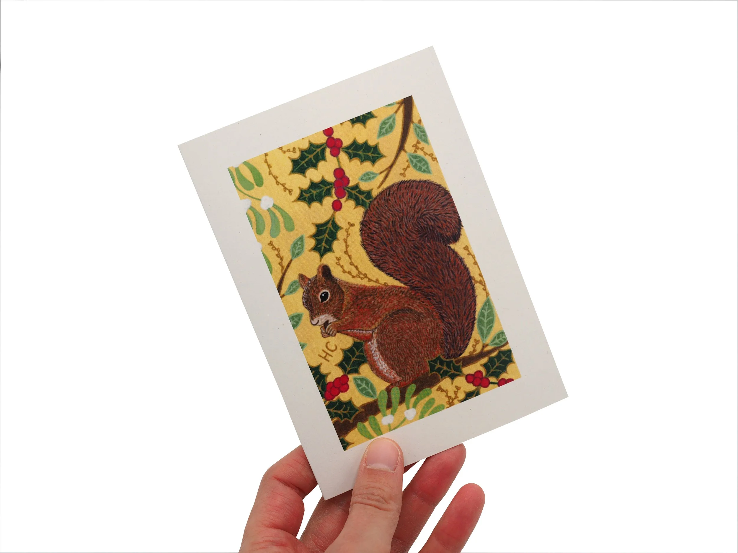 P1012880 white background.JPG