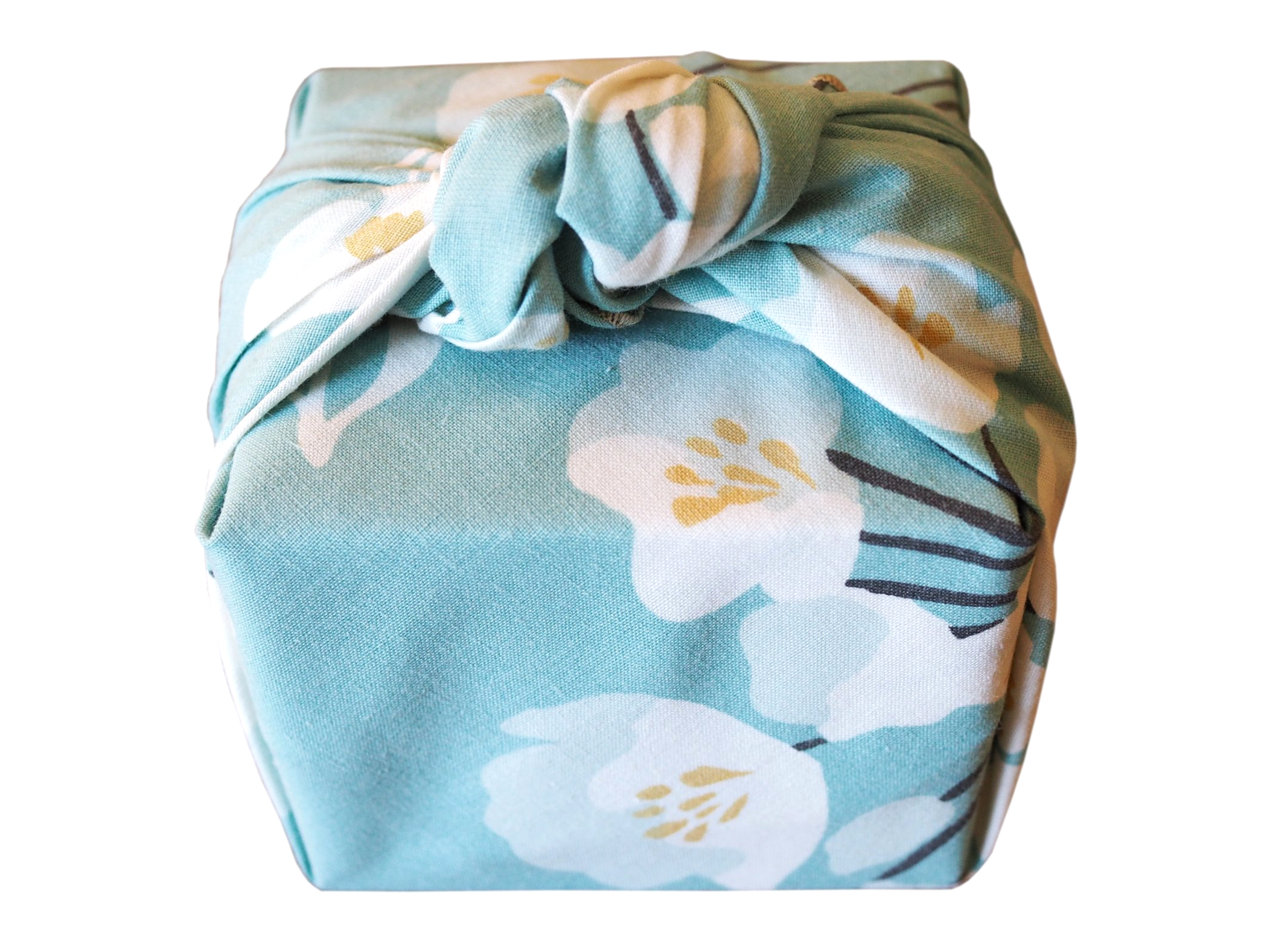 P1012753white.png