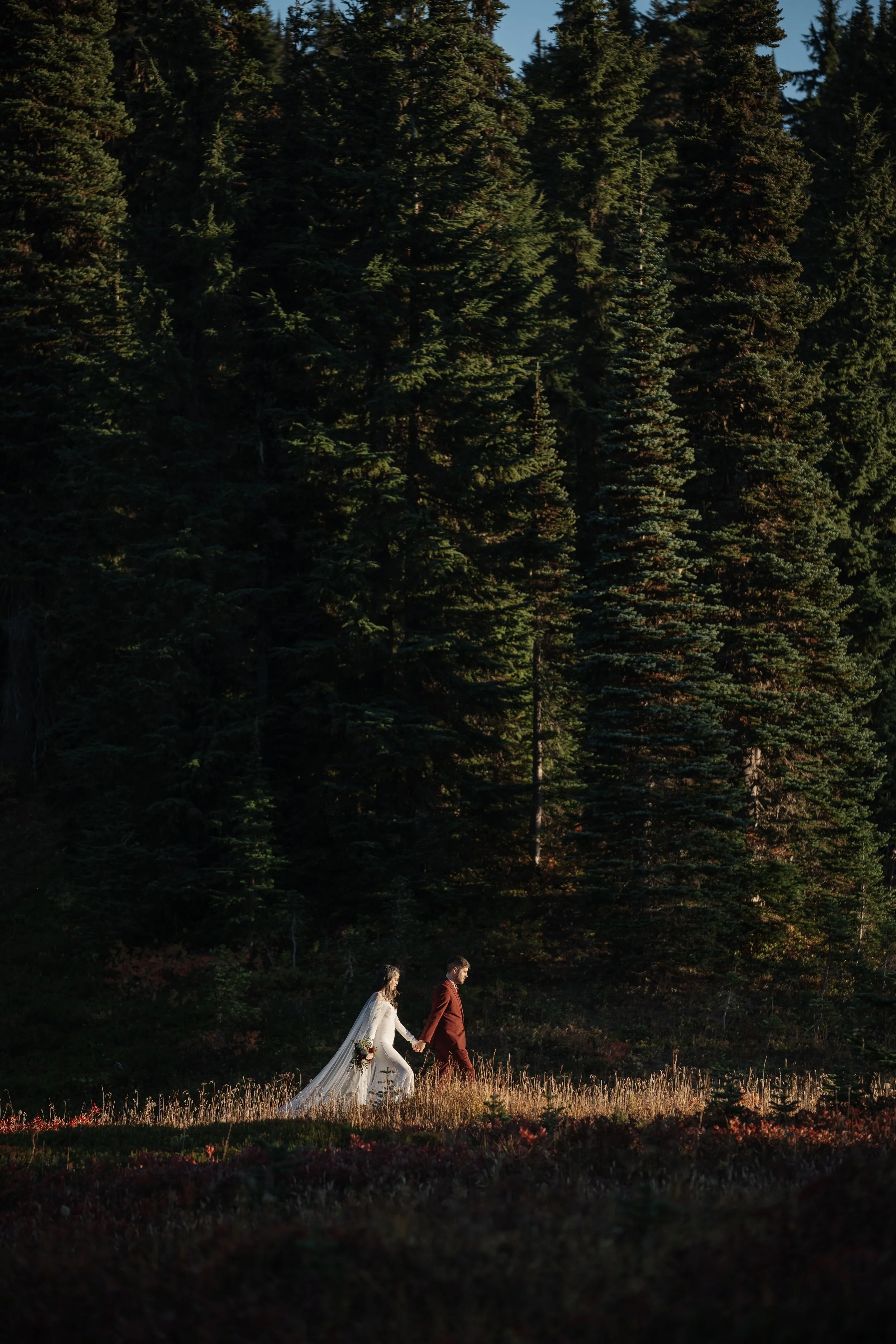 solidvisuals-1 6.jpg