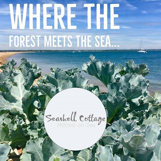 This is the brand new Instagram account for Seashell Footage in Milford-on-Sea. Owned by a local family we are on hand and close by should you need us! .
We have gone to every length to make sure your stay is as comfortable as possible 😁💤
.
We hope