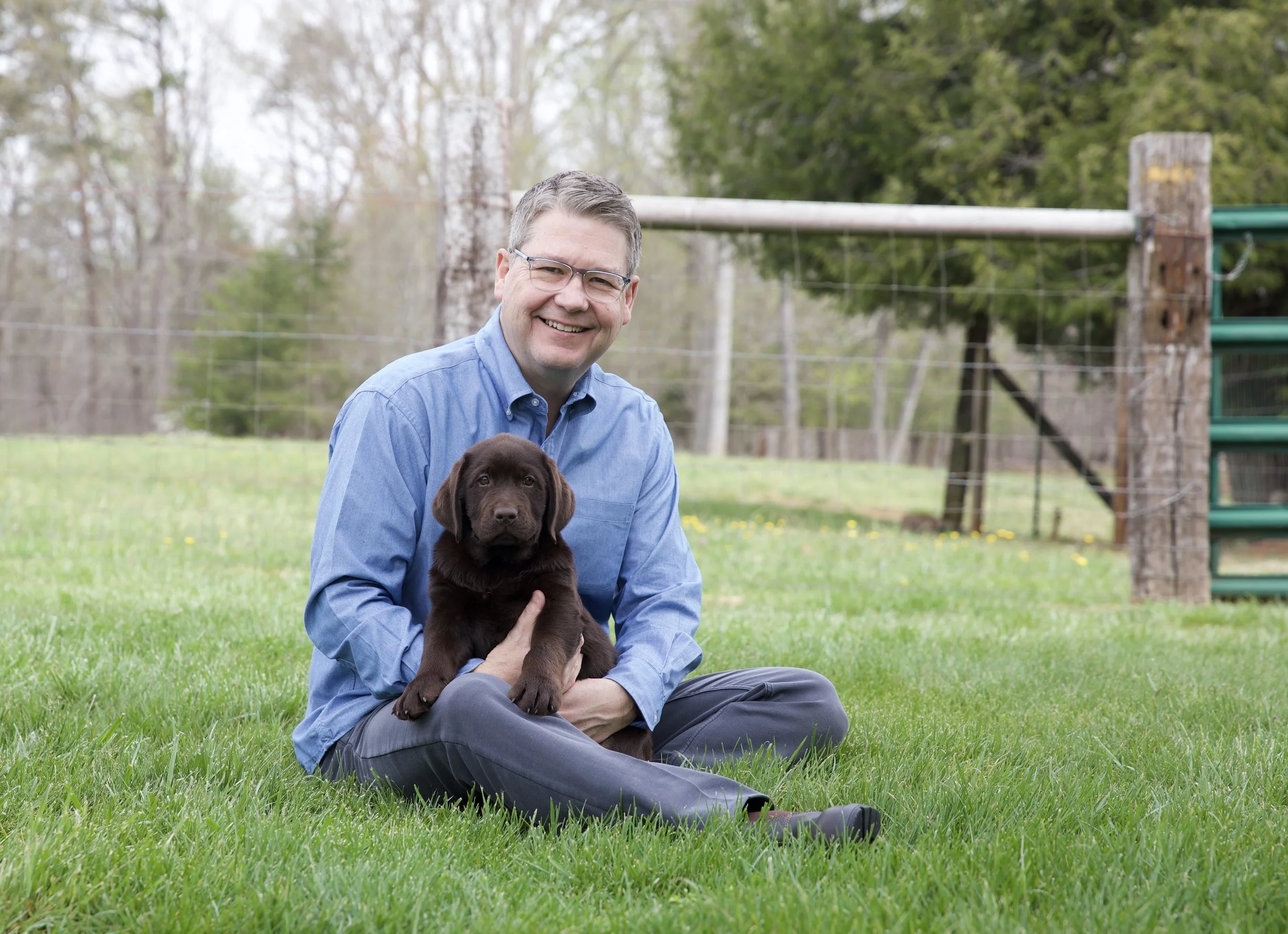 Chocolate Labrador Puppies | Smoky Mtn Labradors