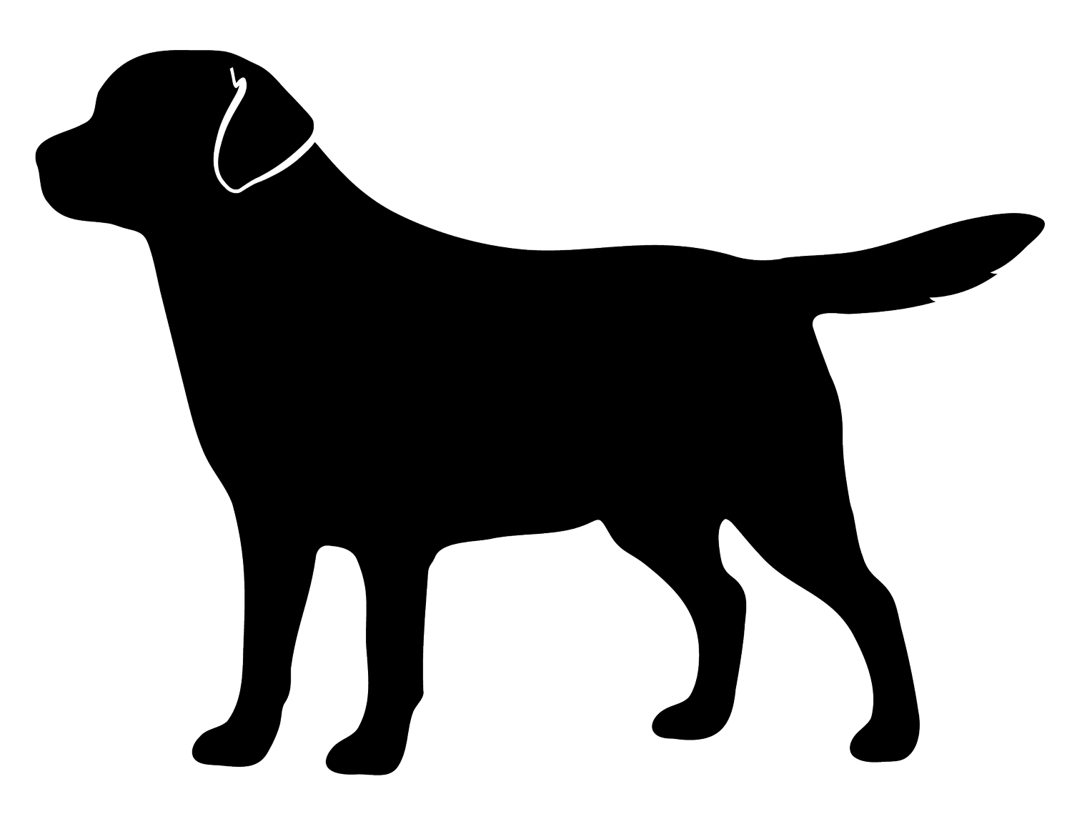 Smoky Mountain Labradors