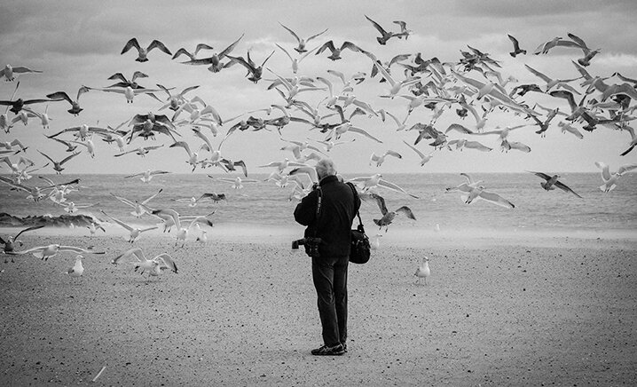 Harvey with Seagulls, Coney   Island.jpg