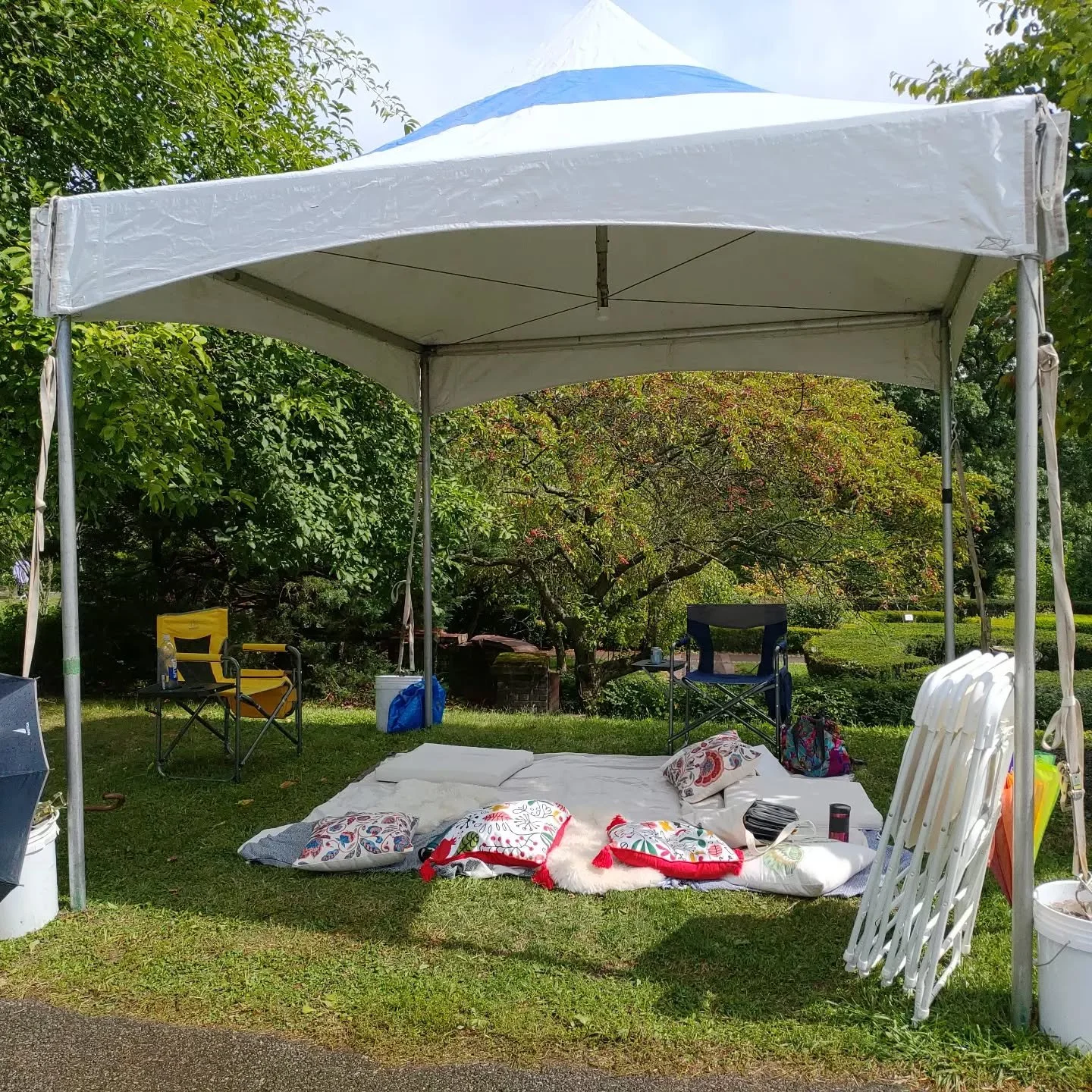 We had such an inspiring time at the Nature workshop that we are meeting again! Free gathering for Qi Gong and communicating with Trees and Plants at Mellon Park on Sunday October 1 at 1 pm! Come meet me at the fountain!