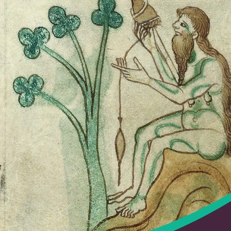 Gender in Medieval Spaces, Places and Thresholds