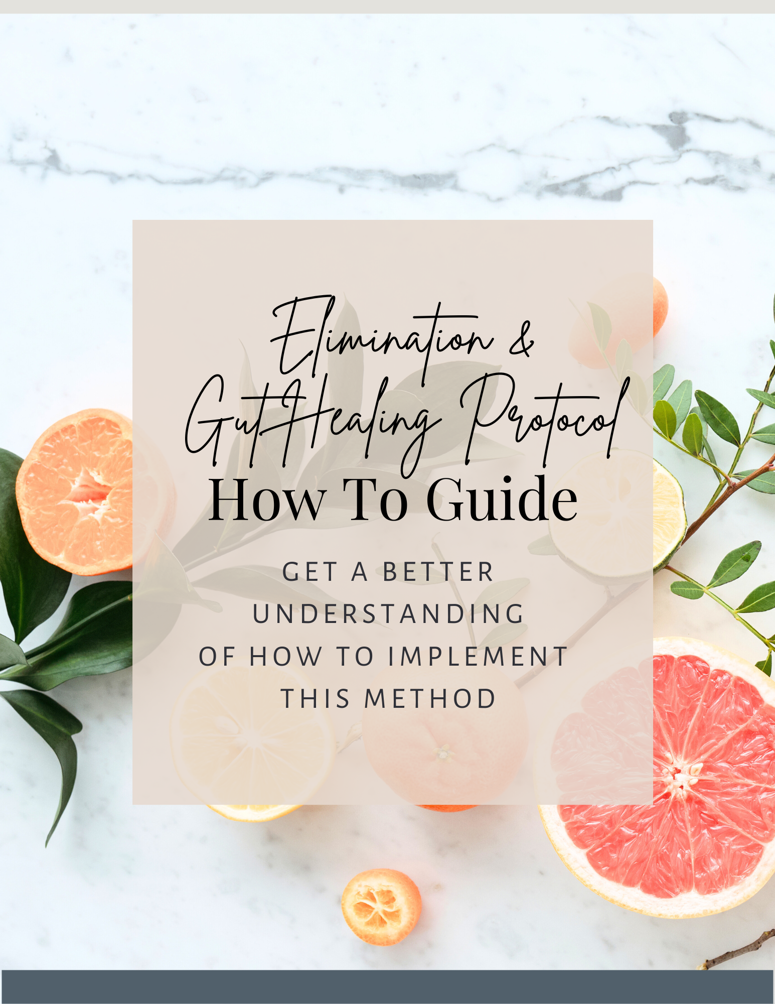 Elimination & Gut Healing Protocol Guide