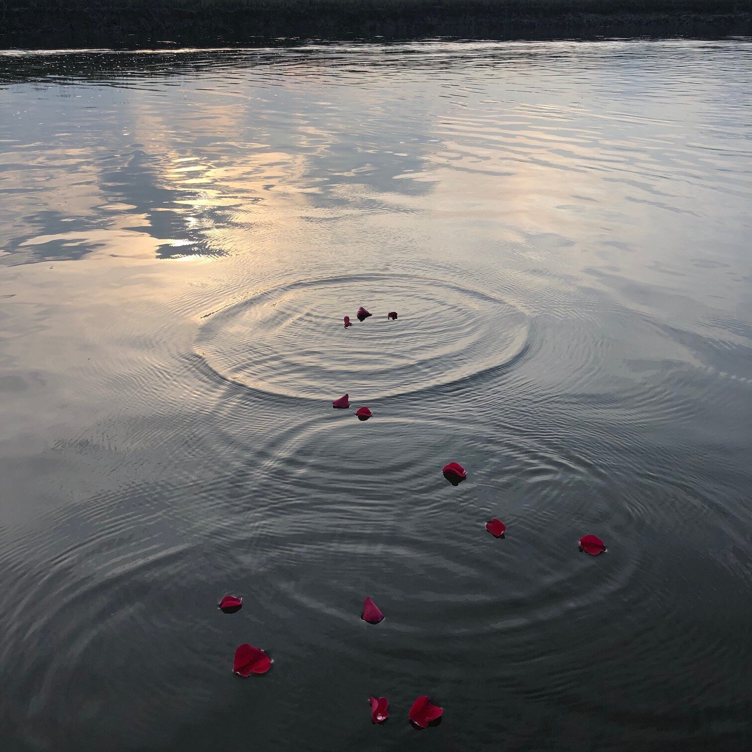 ash-scattering-ceremony-ideas.jpeg