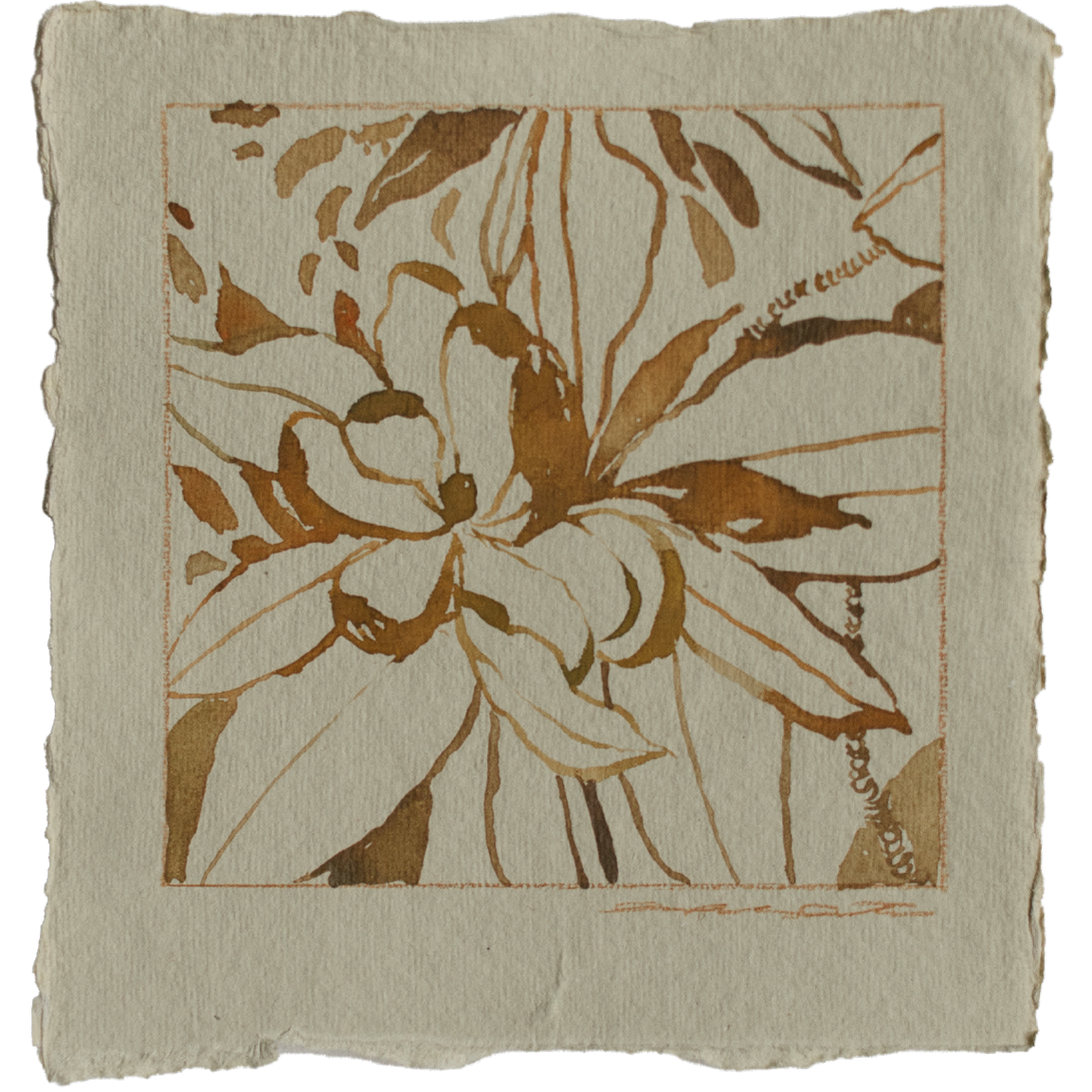 10 rust + amber study no2 1.png