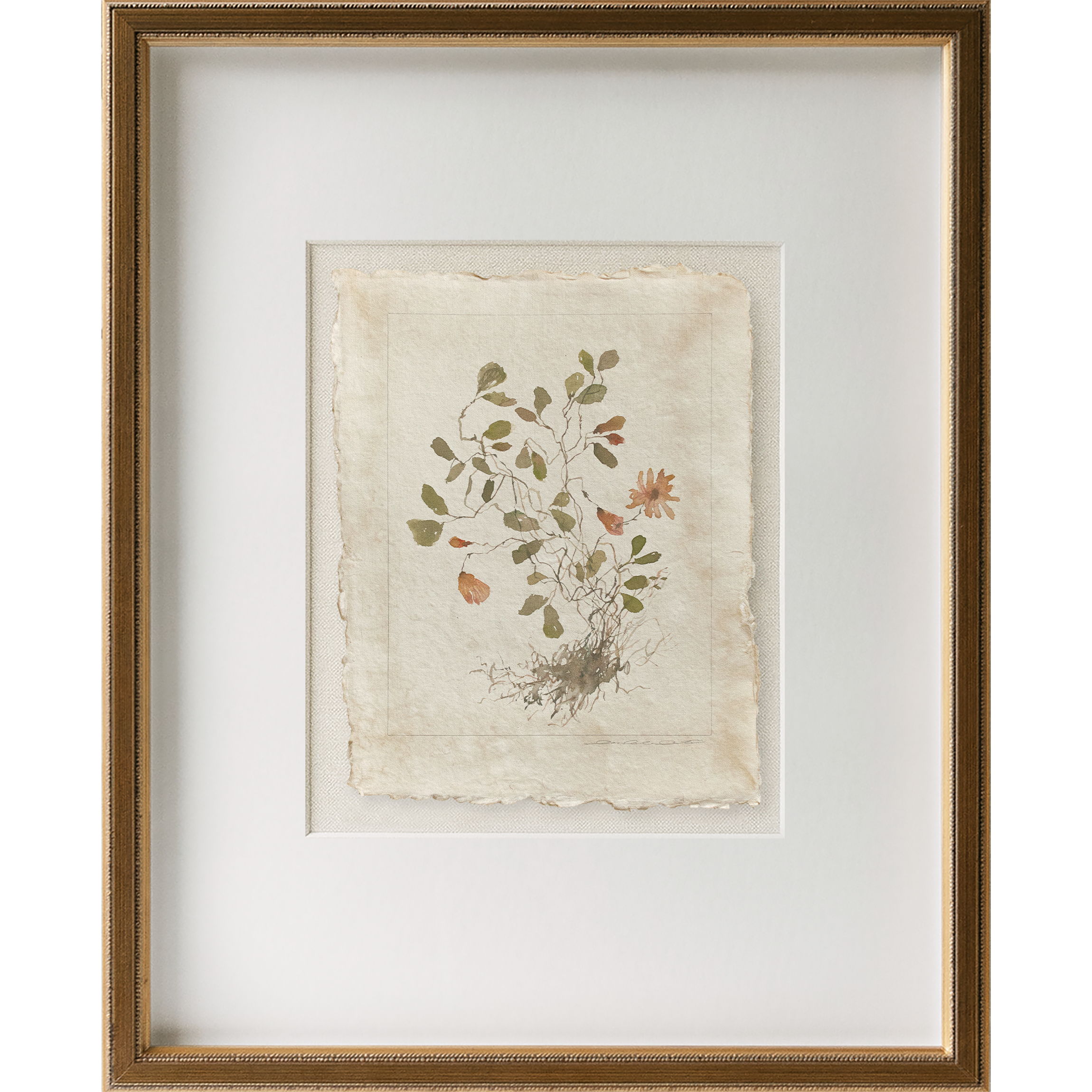 WEB holiday 2025 trifolium stoloniferum 1 frame.png