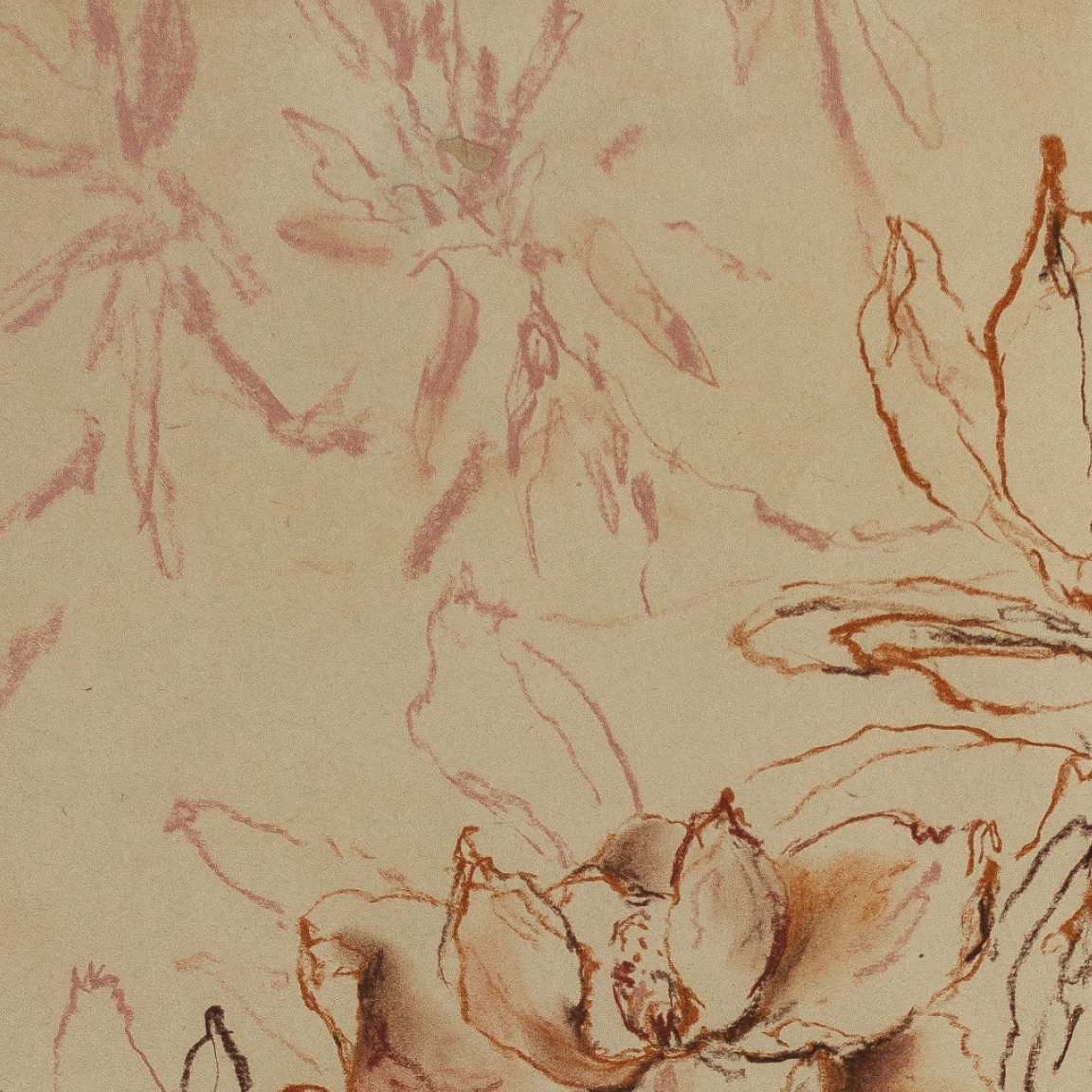 weathered petals study 2.png