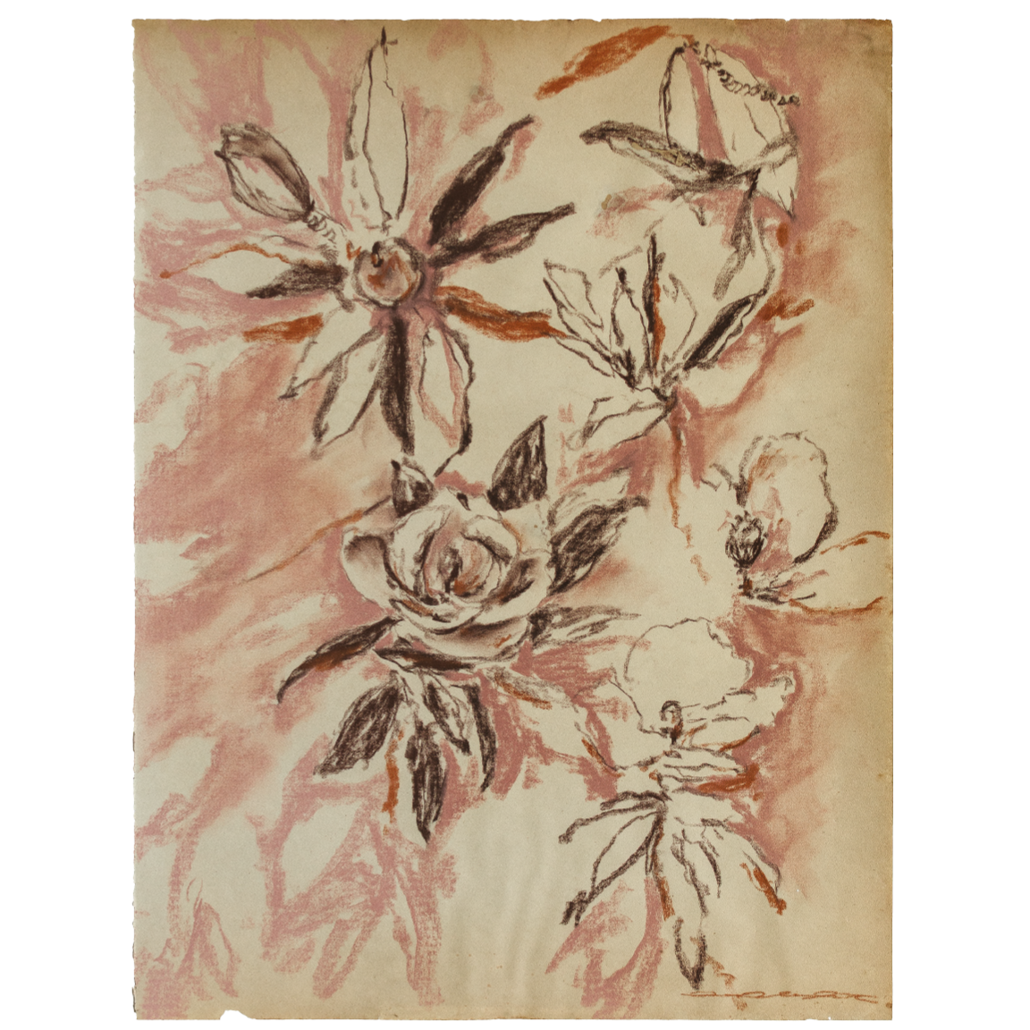 fleeting petal studies 1.png