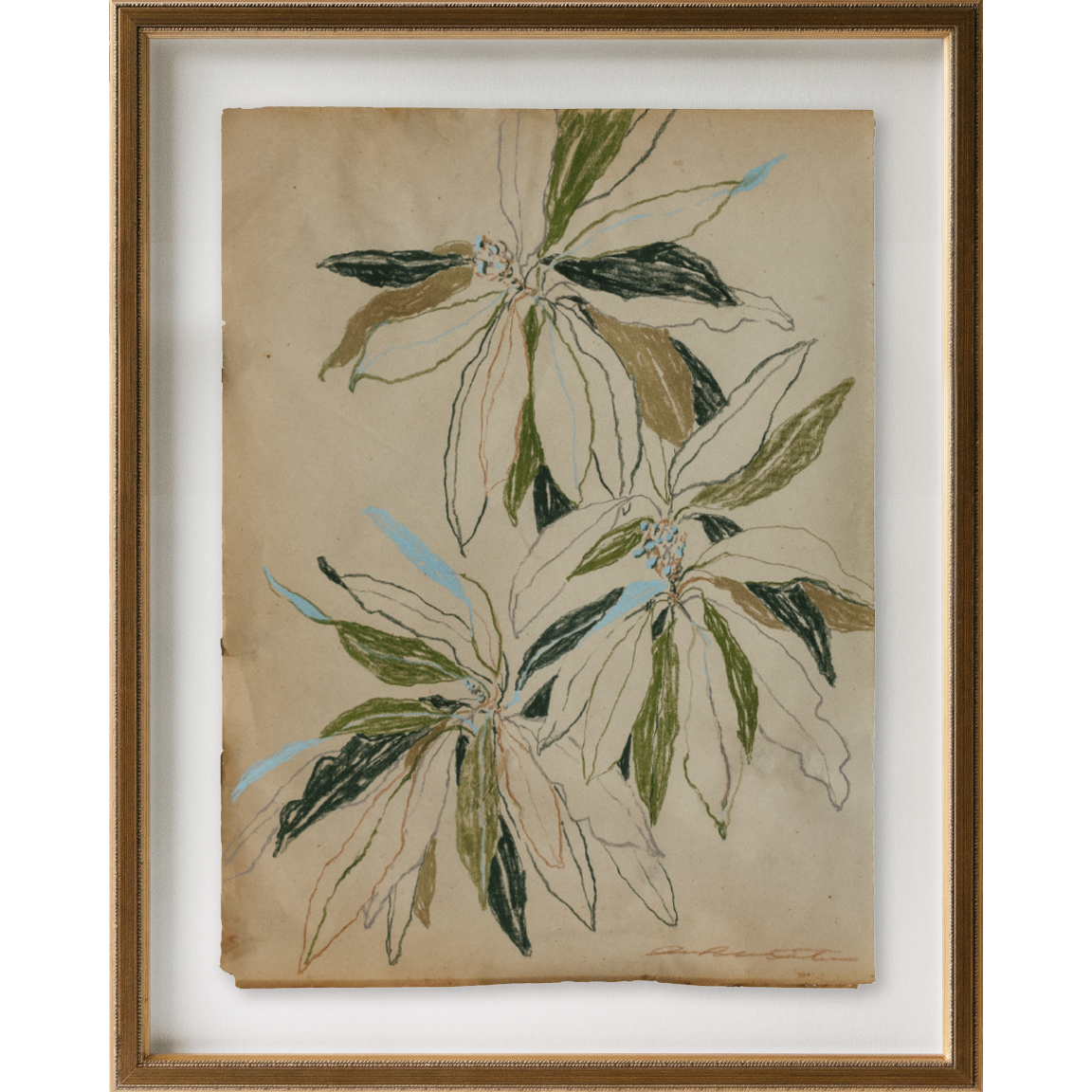 curling leaves study no2 4.png