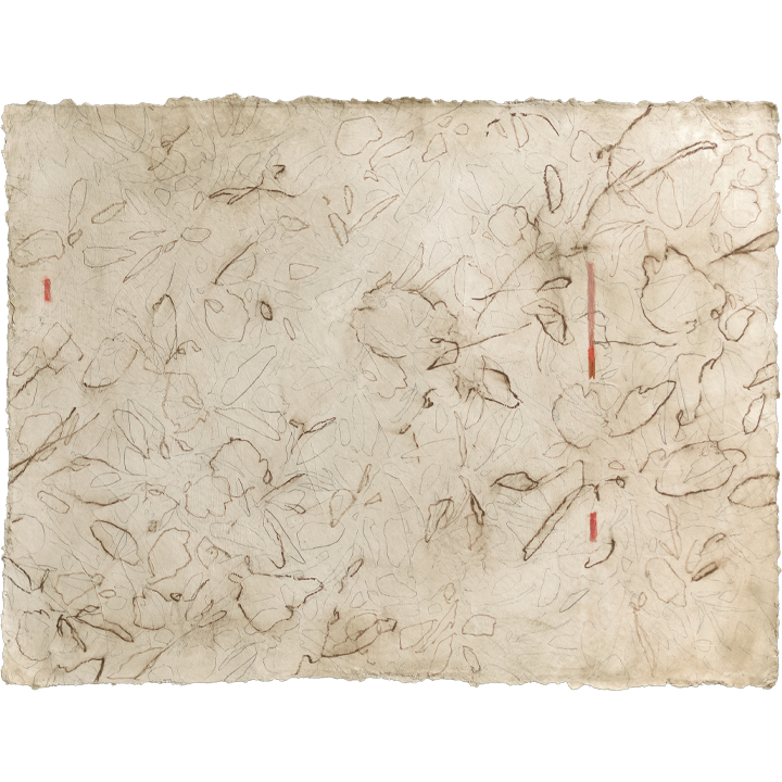 CHERRY TOBACCO WEB 6.png