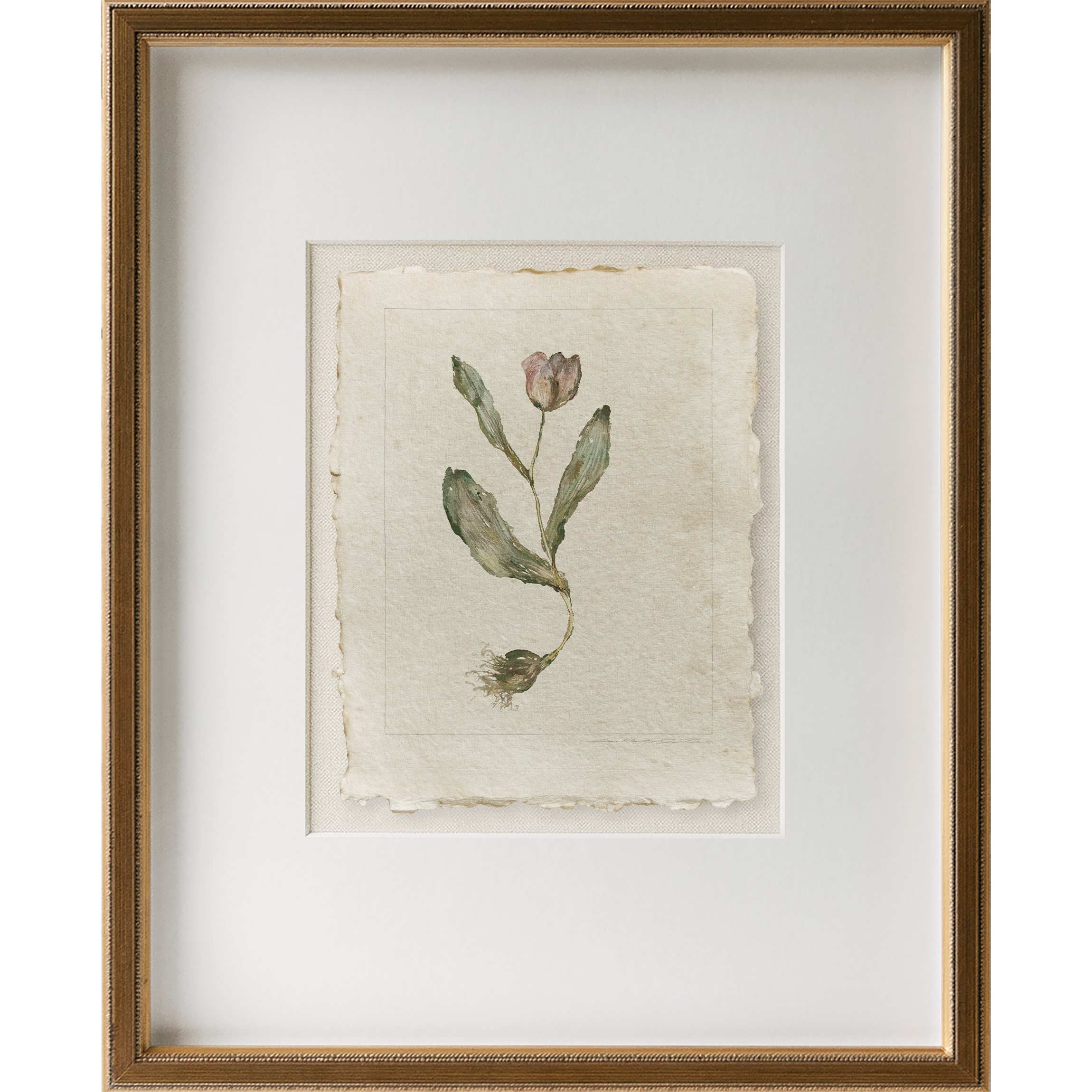 WEB holiday 2025 tulip single 1 frame.png