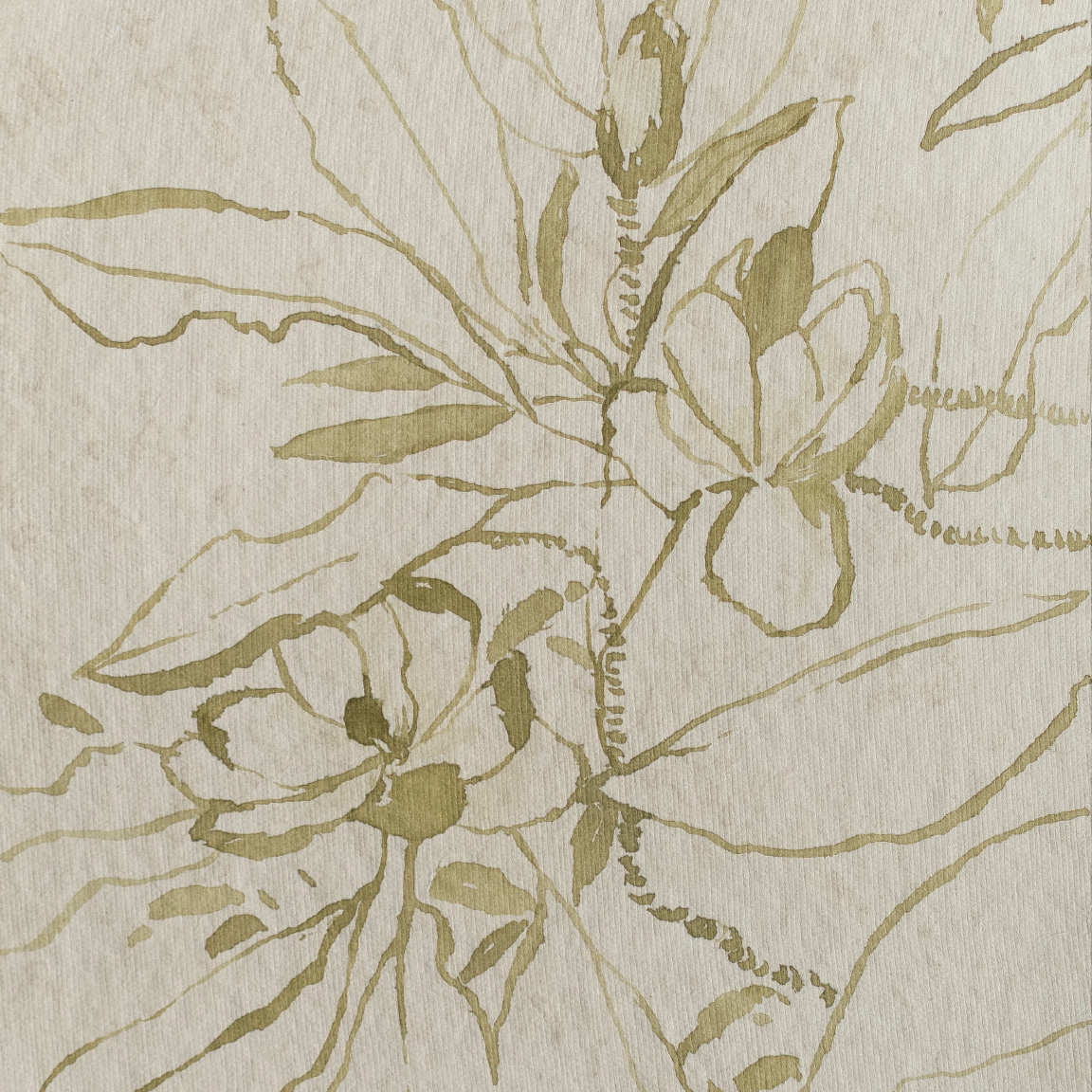 tousled bay magnolia no2 4.png