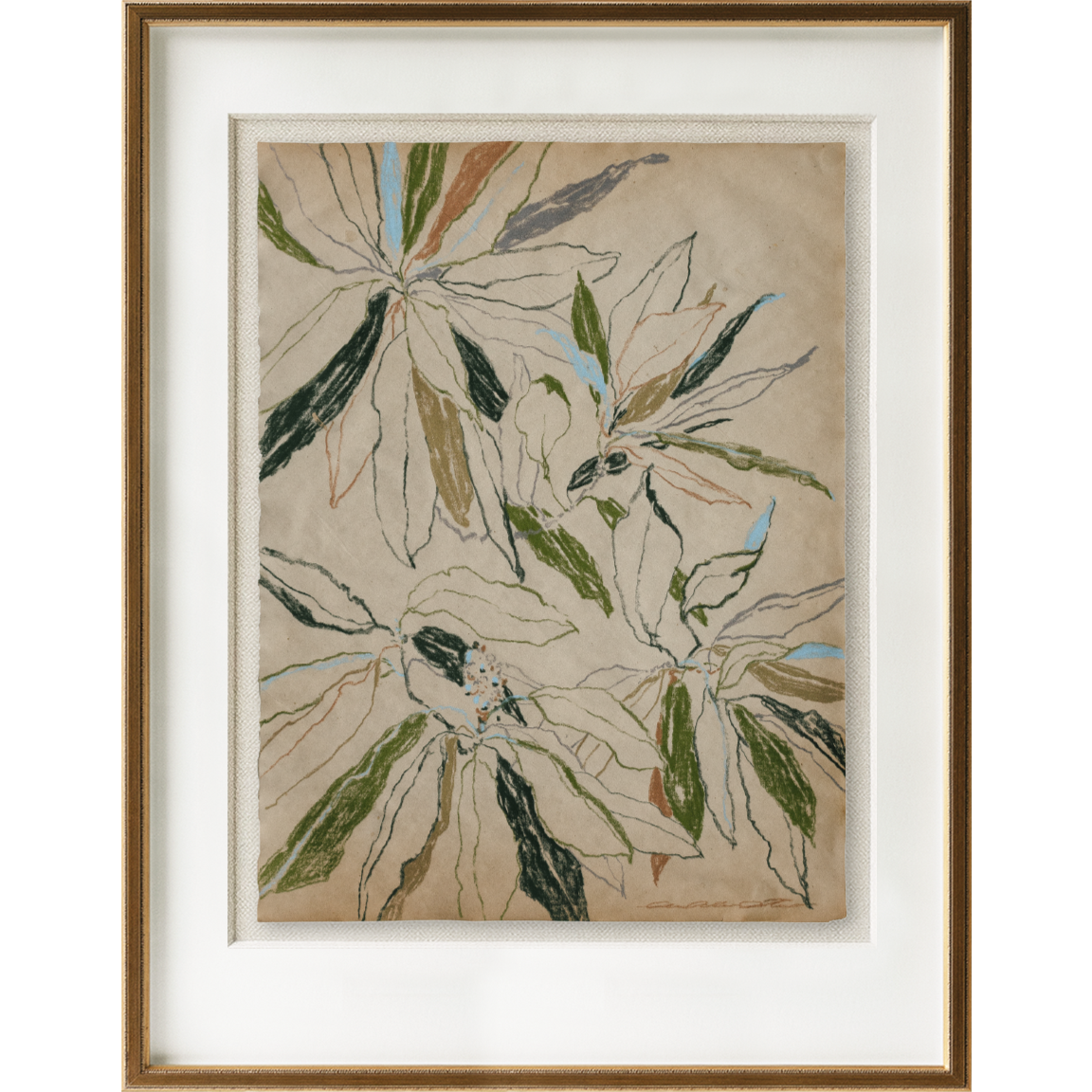 curling leaves study no1 6.png