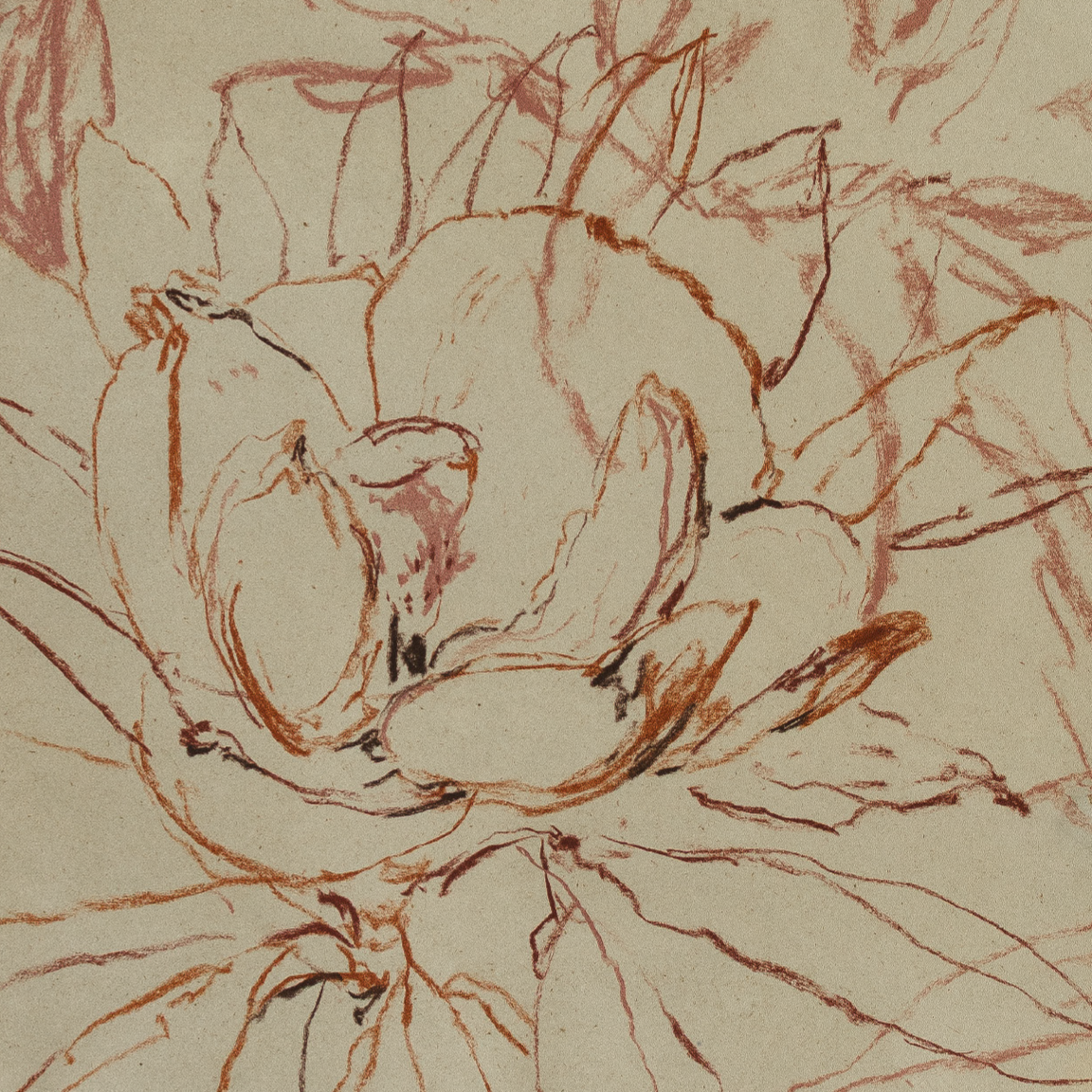 swift & blushing study 2.png