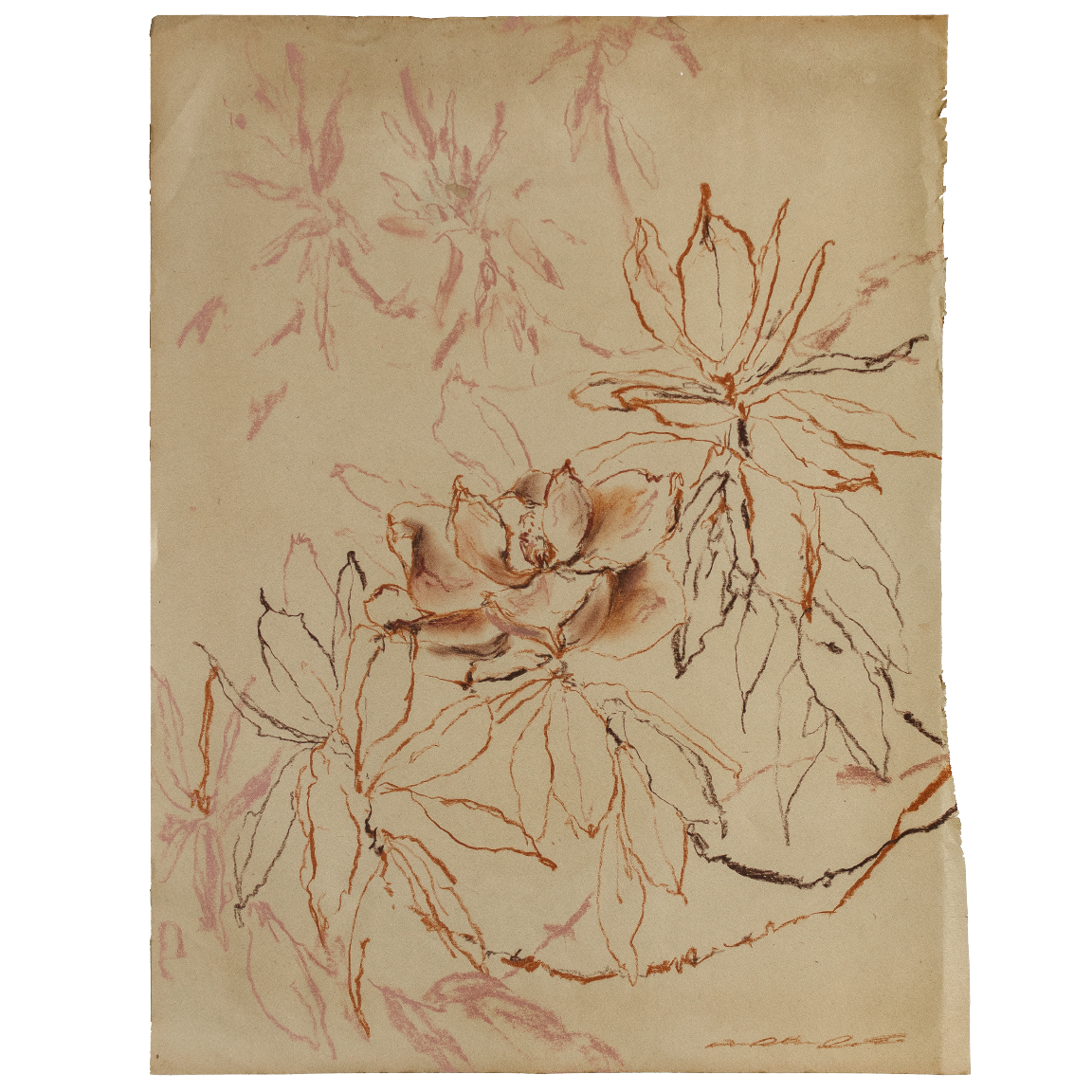 weathered petals study 3.png