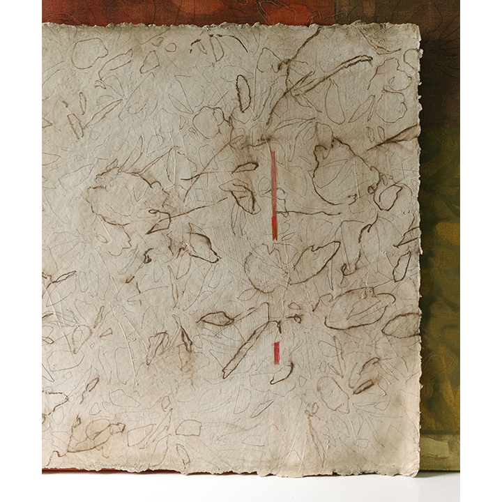 CHERRY TOBACCO WEB 8.png