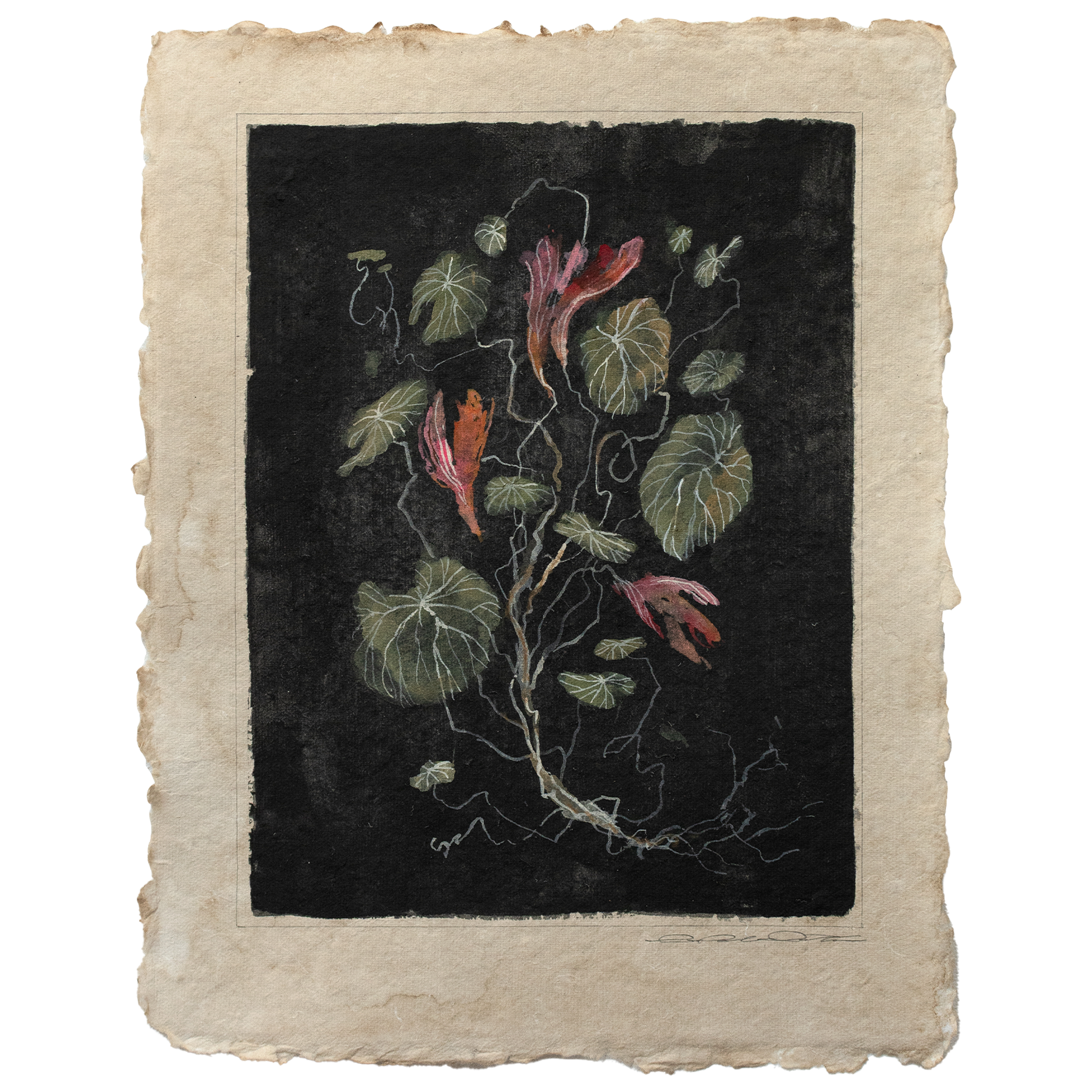 WEB nasturtium black McGeeandCO 1.png